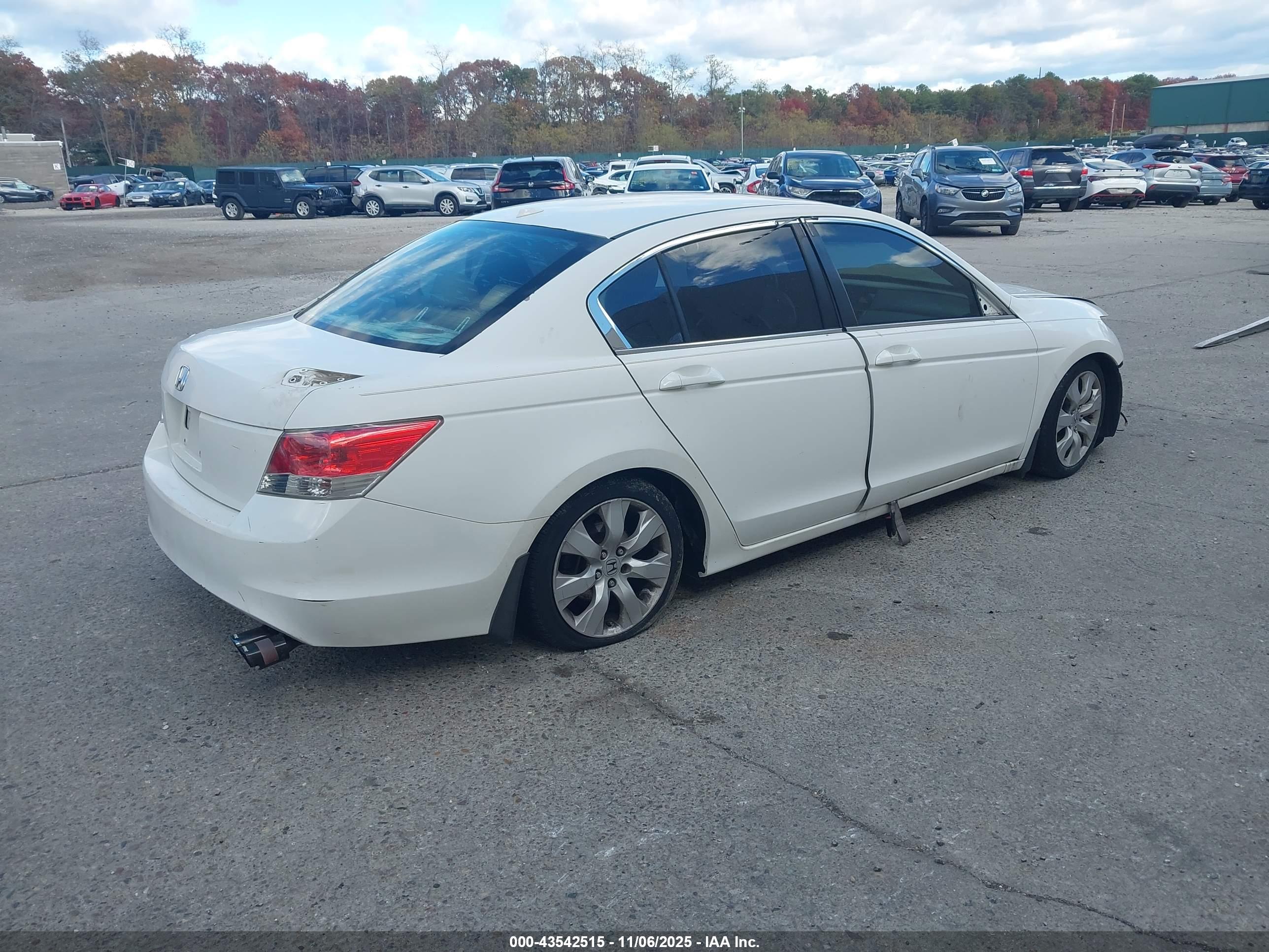 HONDA ACCORD image 4
