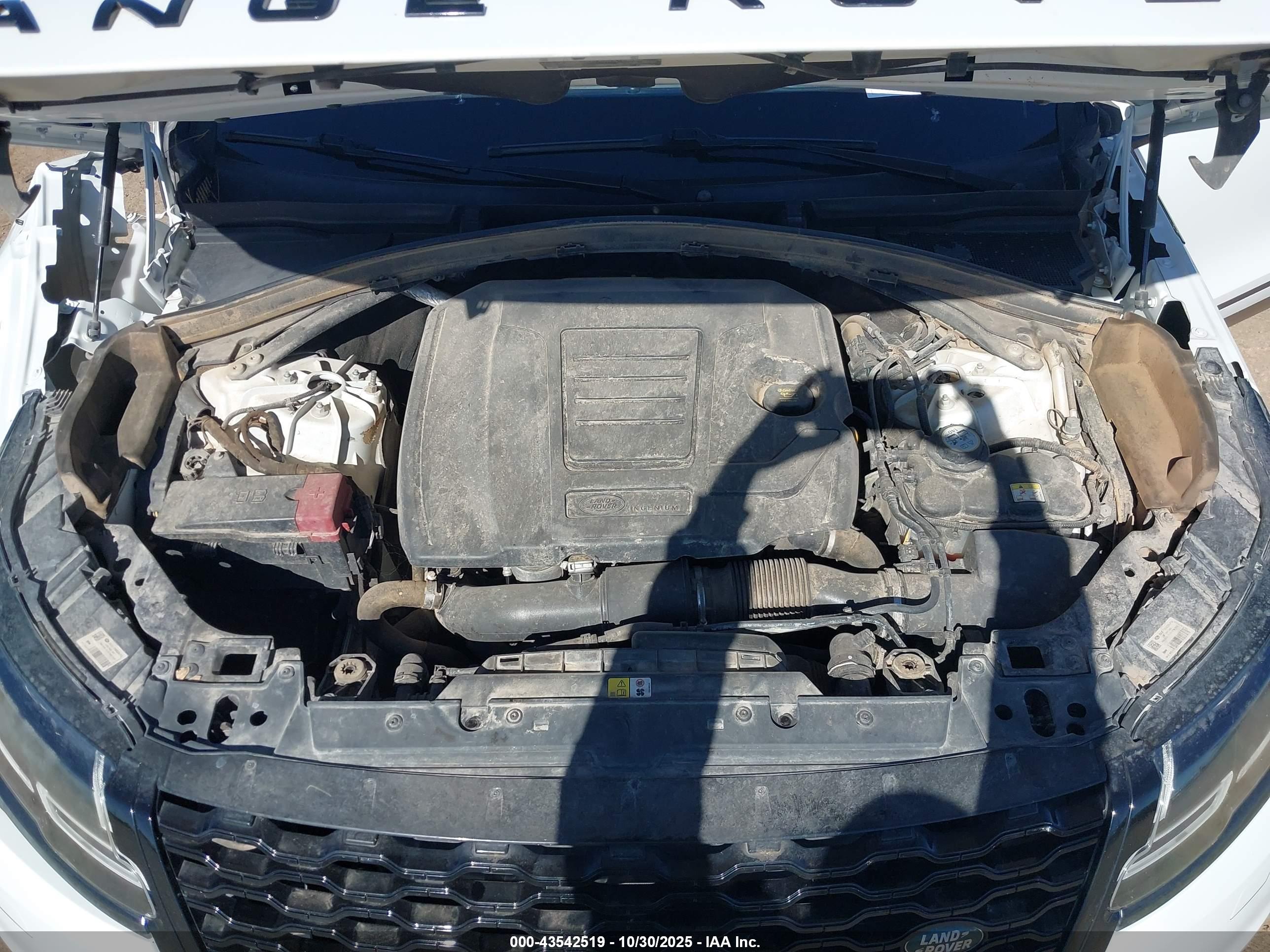LAND ROVER image 10