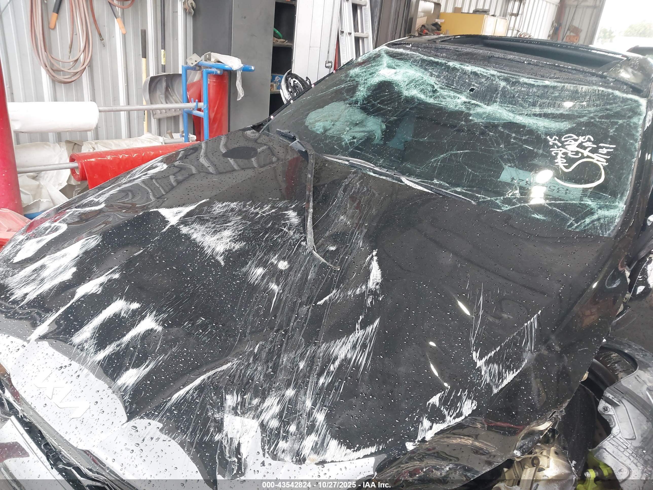 KIA K5 image 6