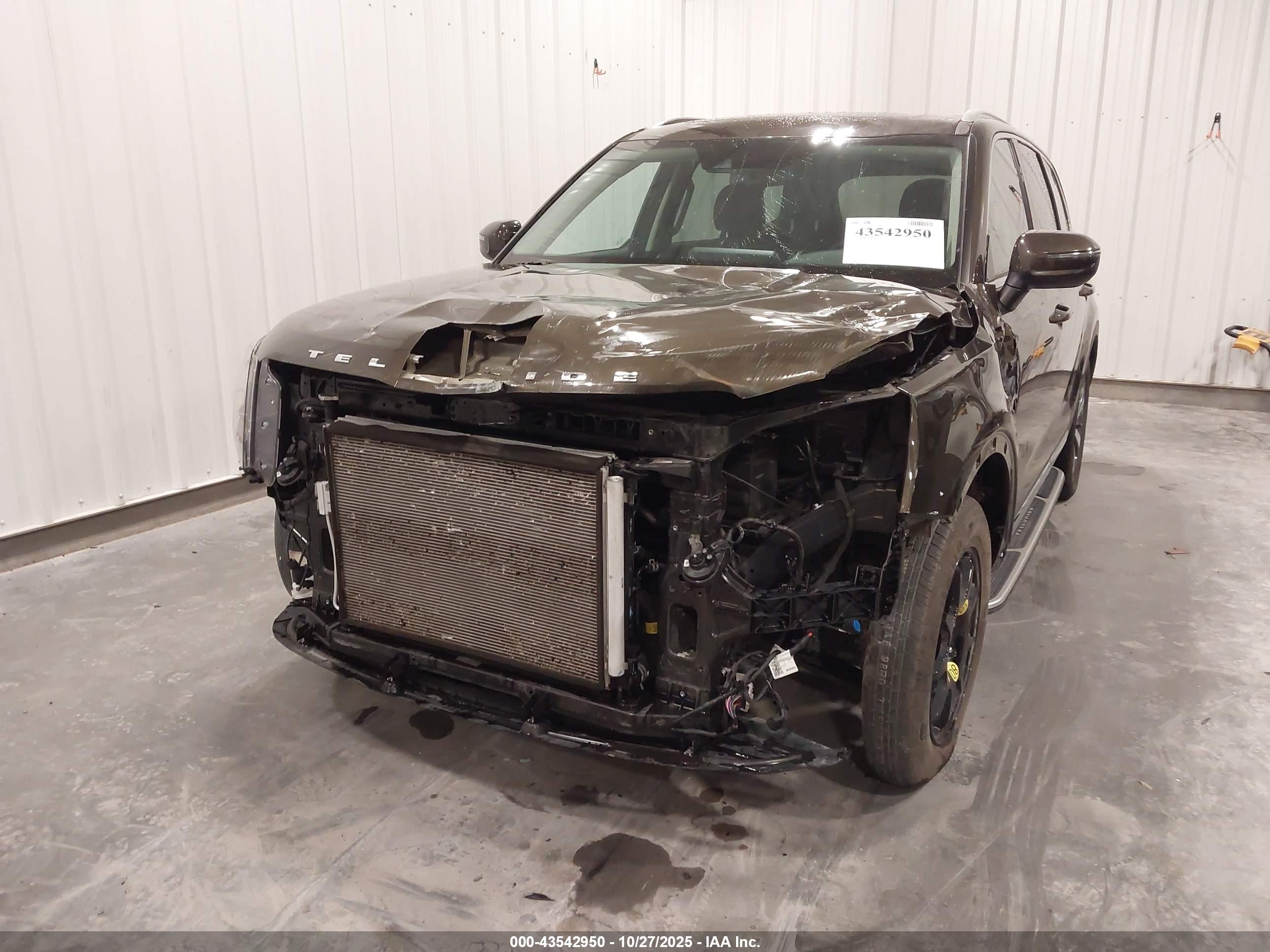 KIA TELLURIDE image 6
