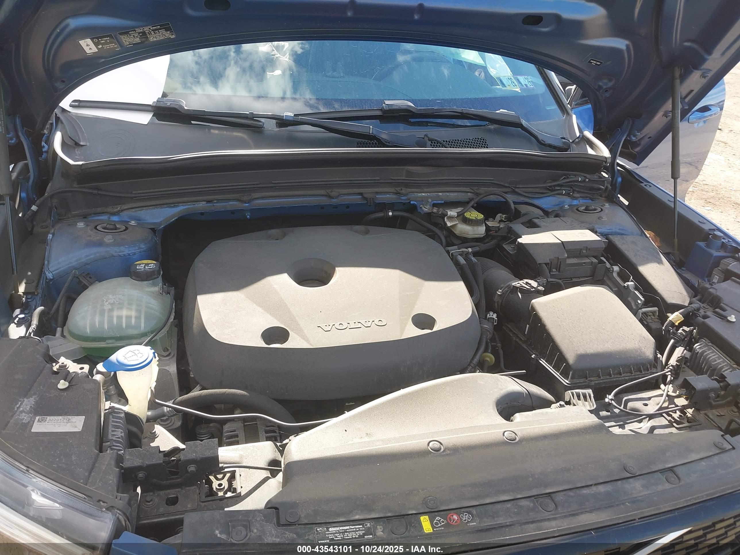 VOLVO XC40 image 10