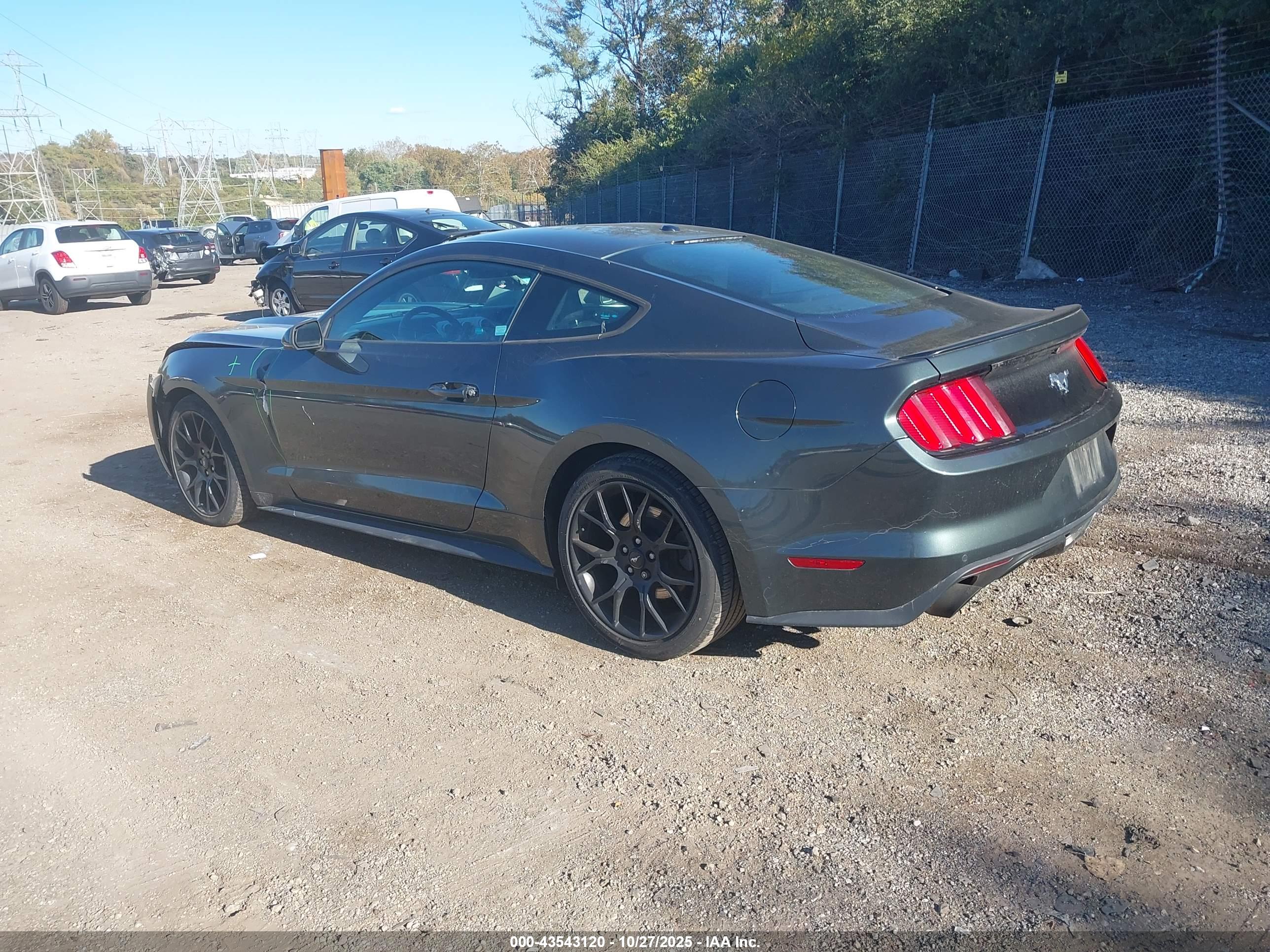 FORD MUSTANG image 3