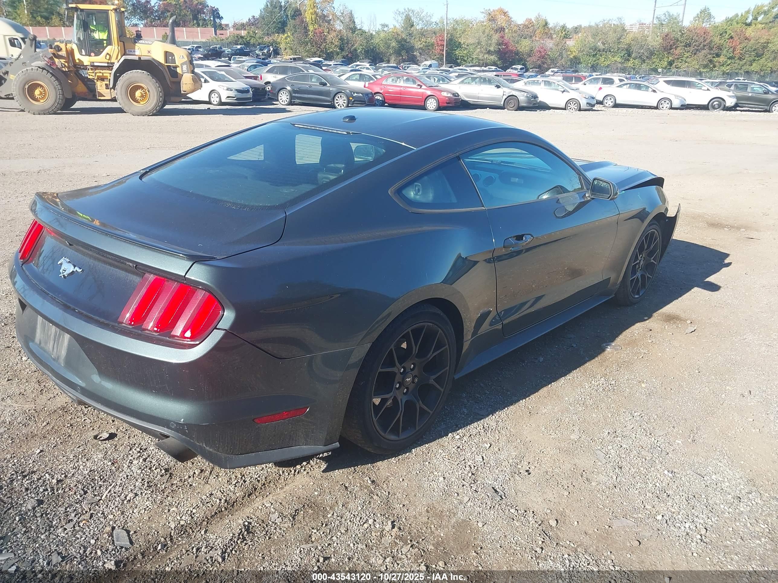 FORD MUSTANG image 4