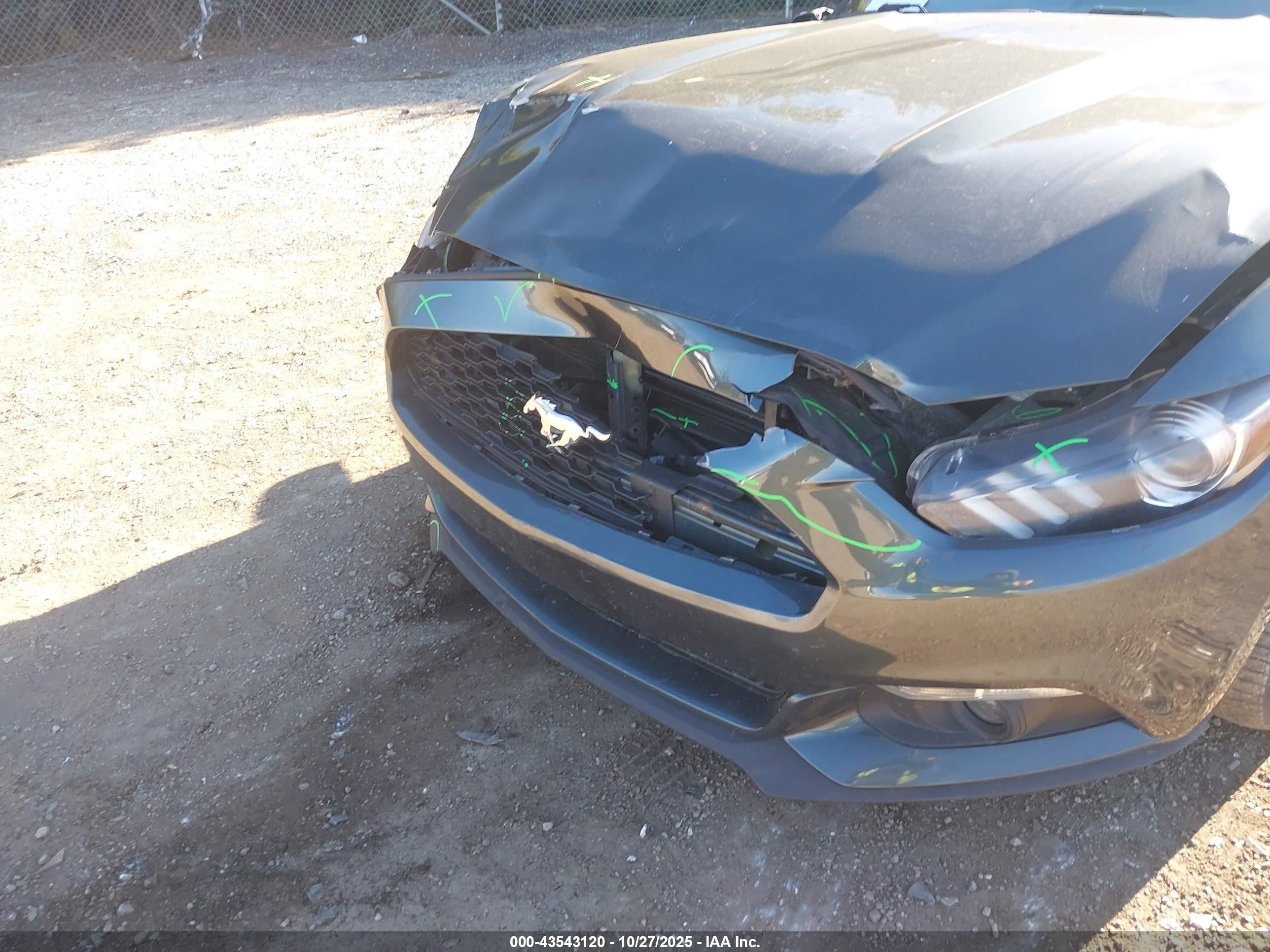 FORD MUSTANG image 6