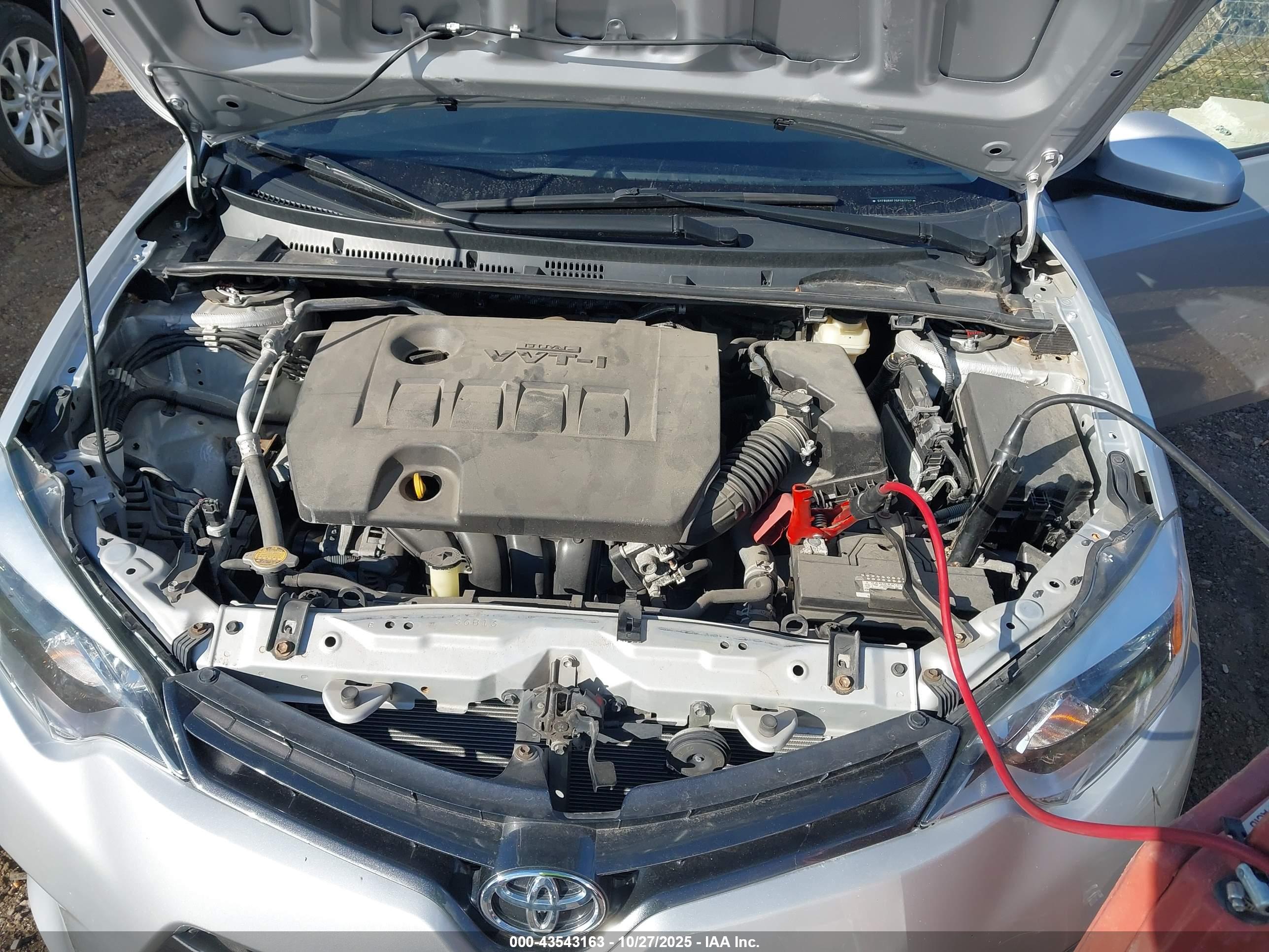 TOYOTA COROLLA image 10