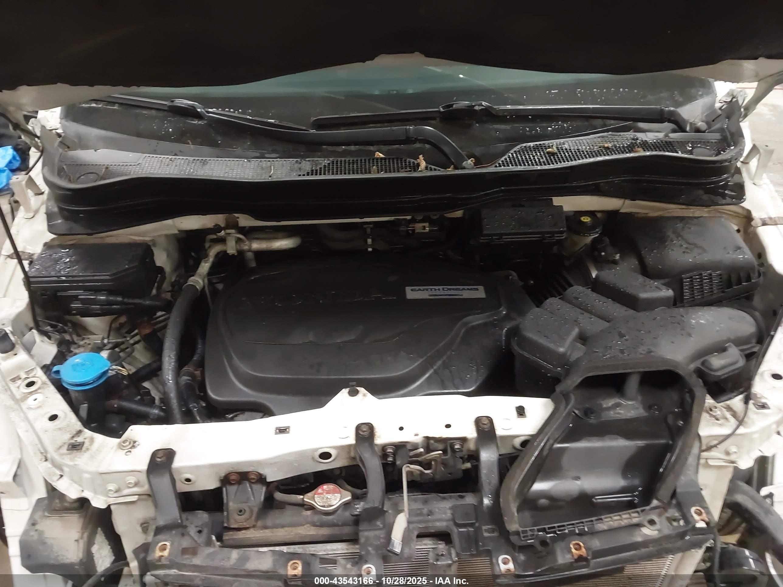 HONDA PILOT image 10