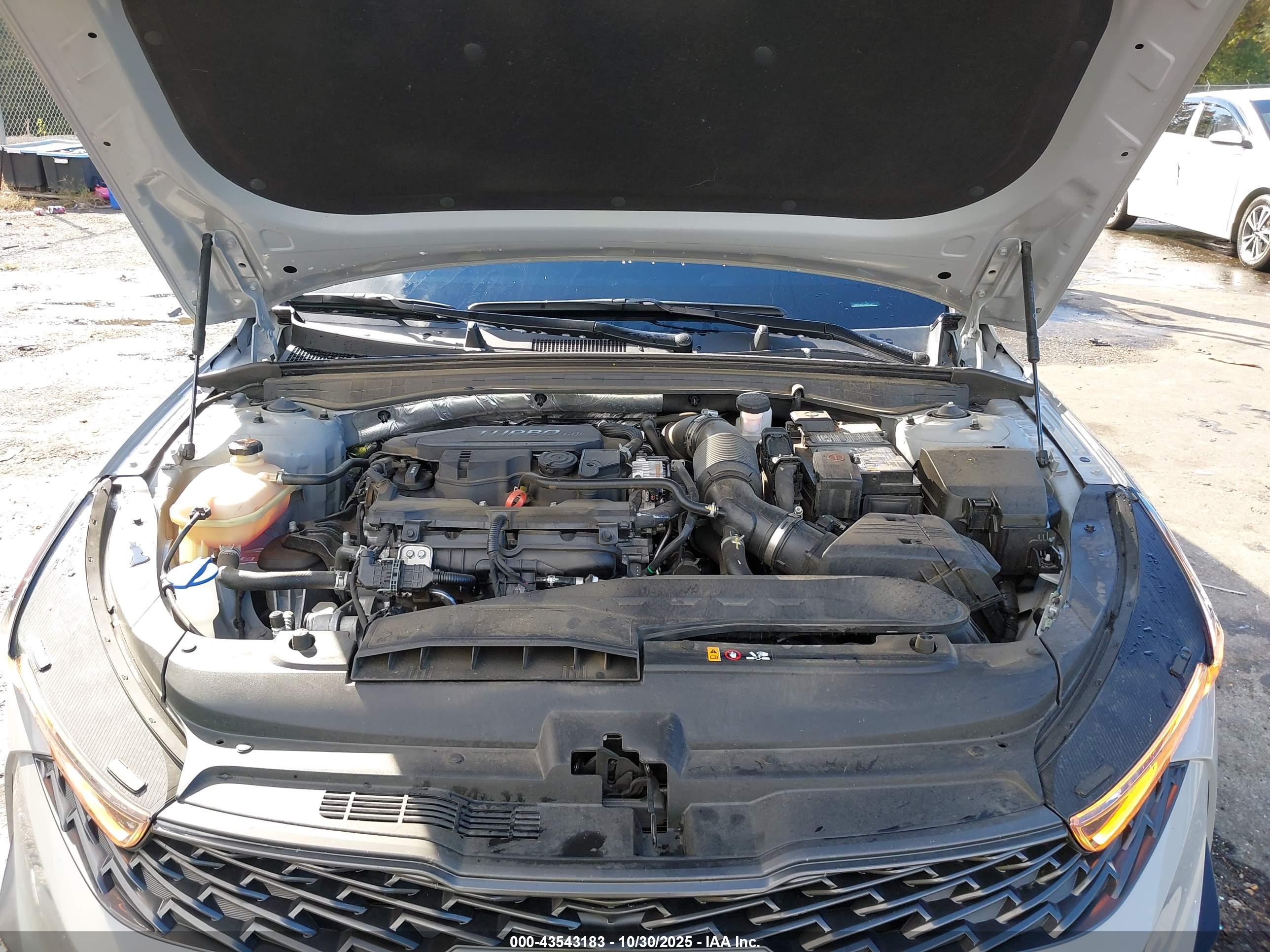 KIA K5 image 10