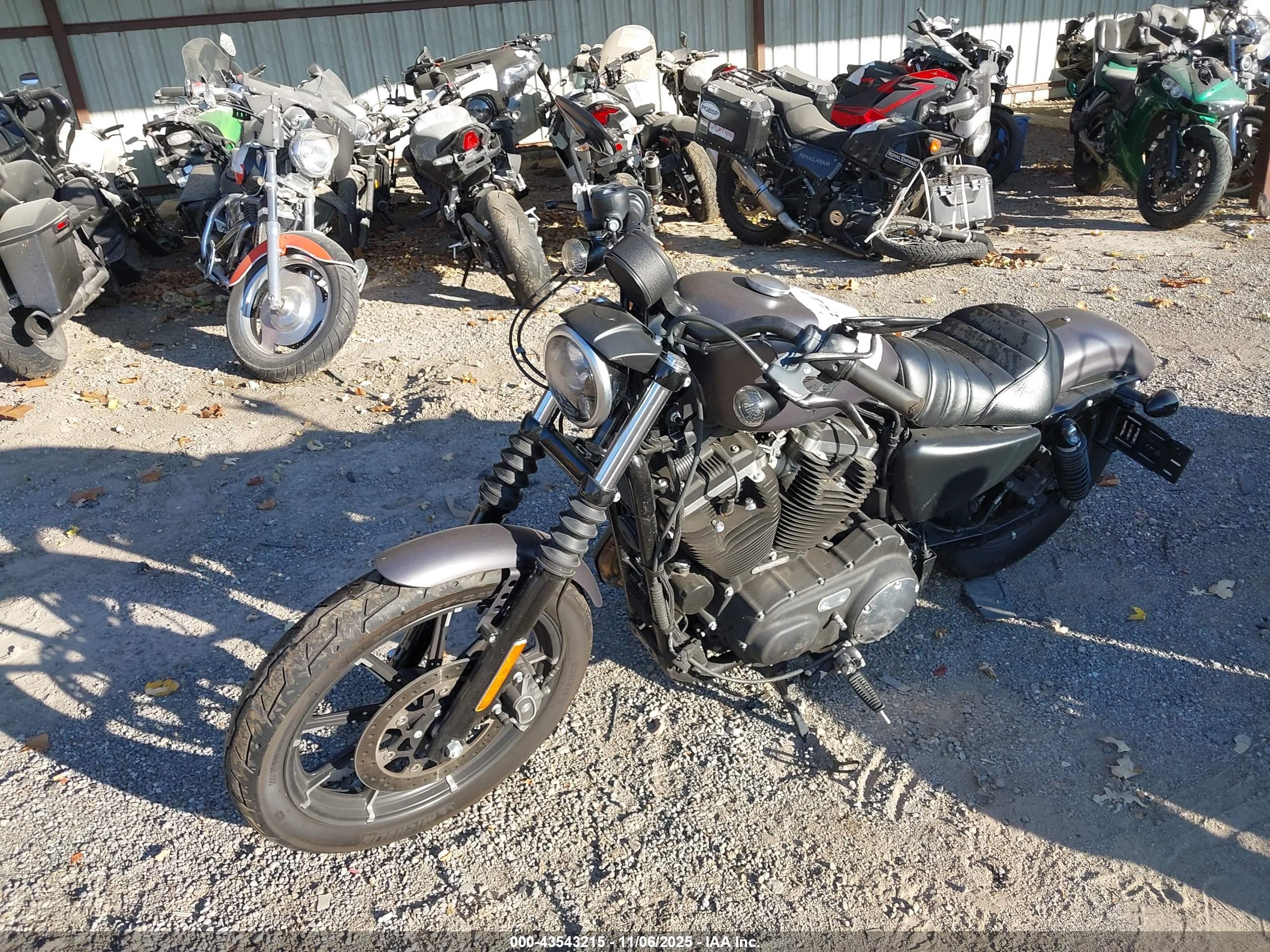 HARLEY-DAVIDSON XL883 image 2