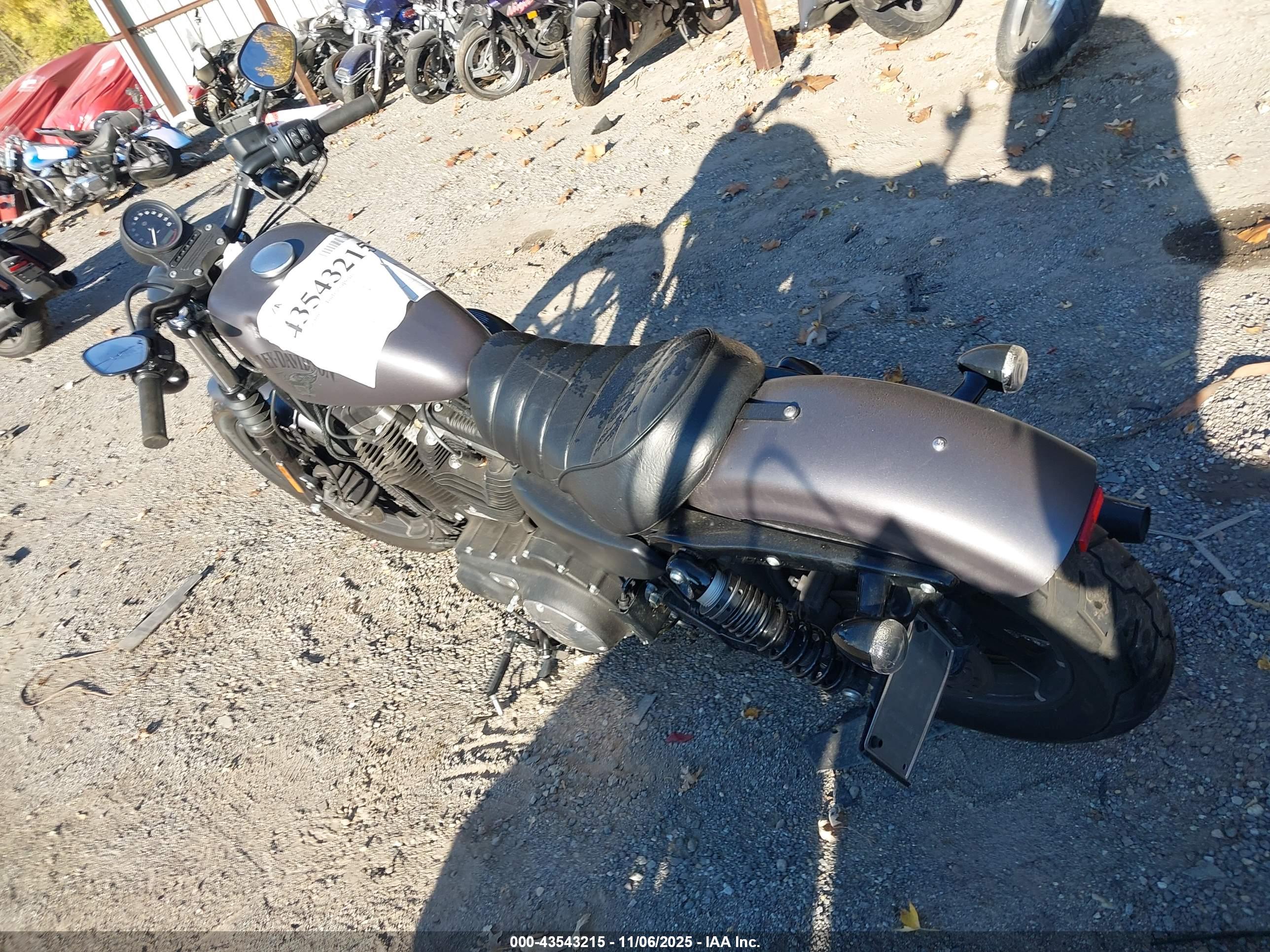 HARLEY-DAVIDSON XL883 image 3