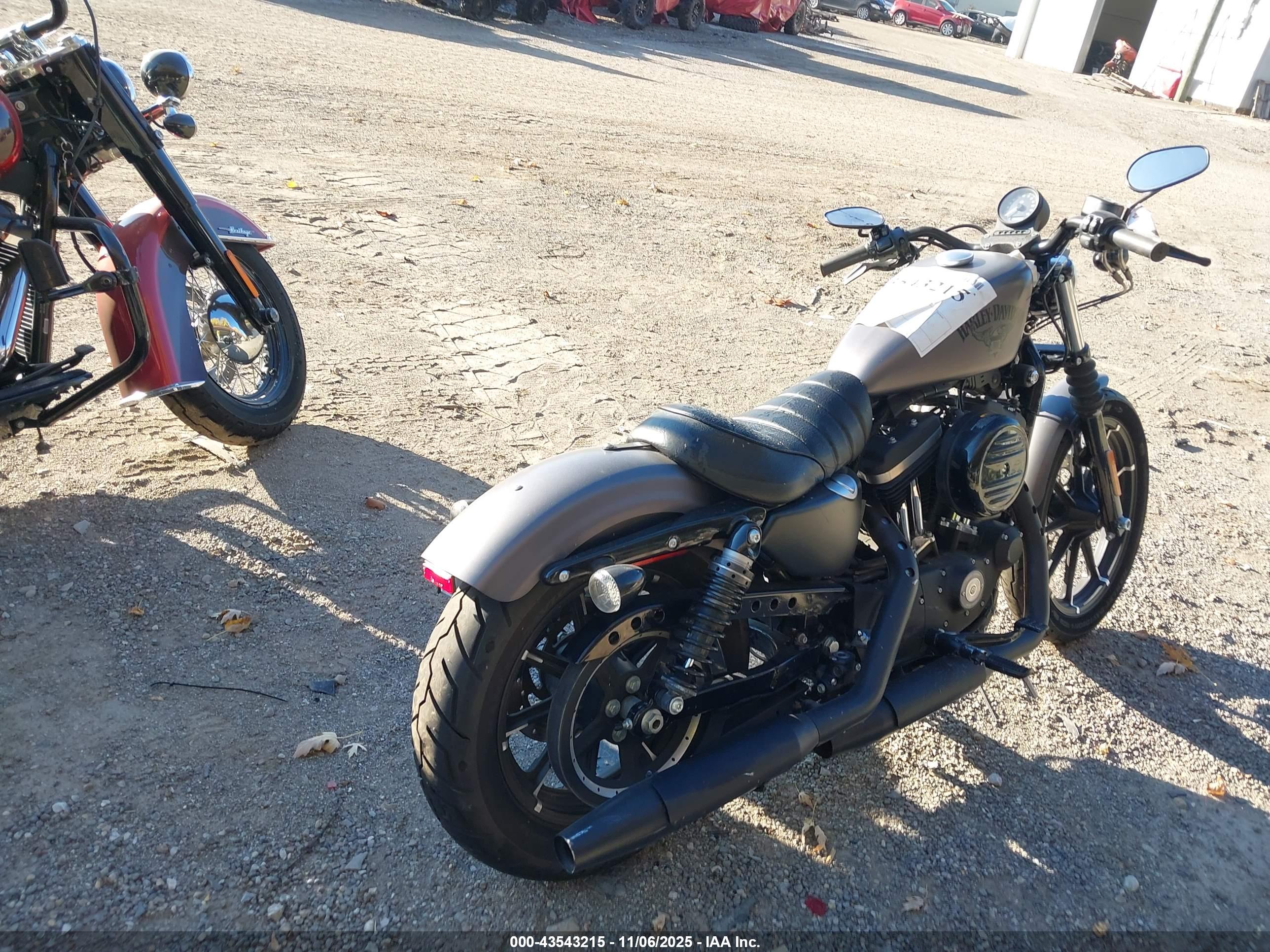 HARLEY-DAVIDSON XL883 image 4