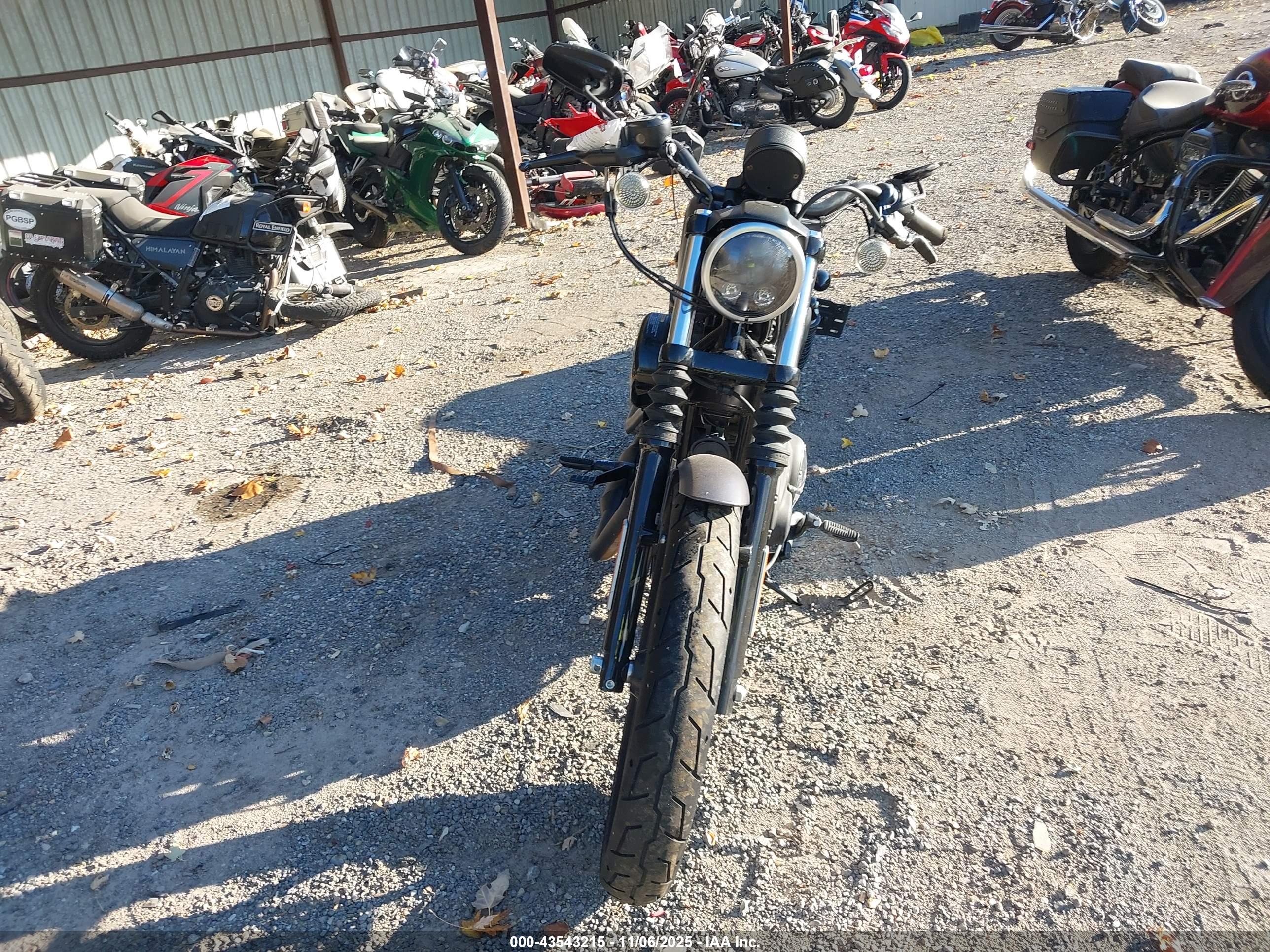 HARLEY-DAVIDSON XL883 image 5