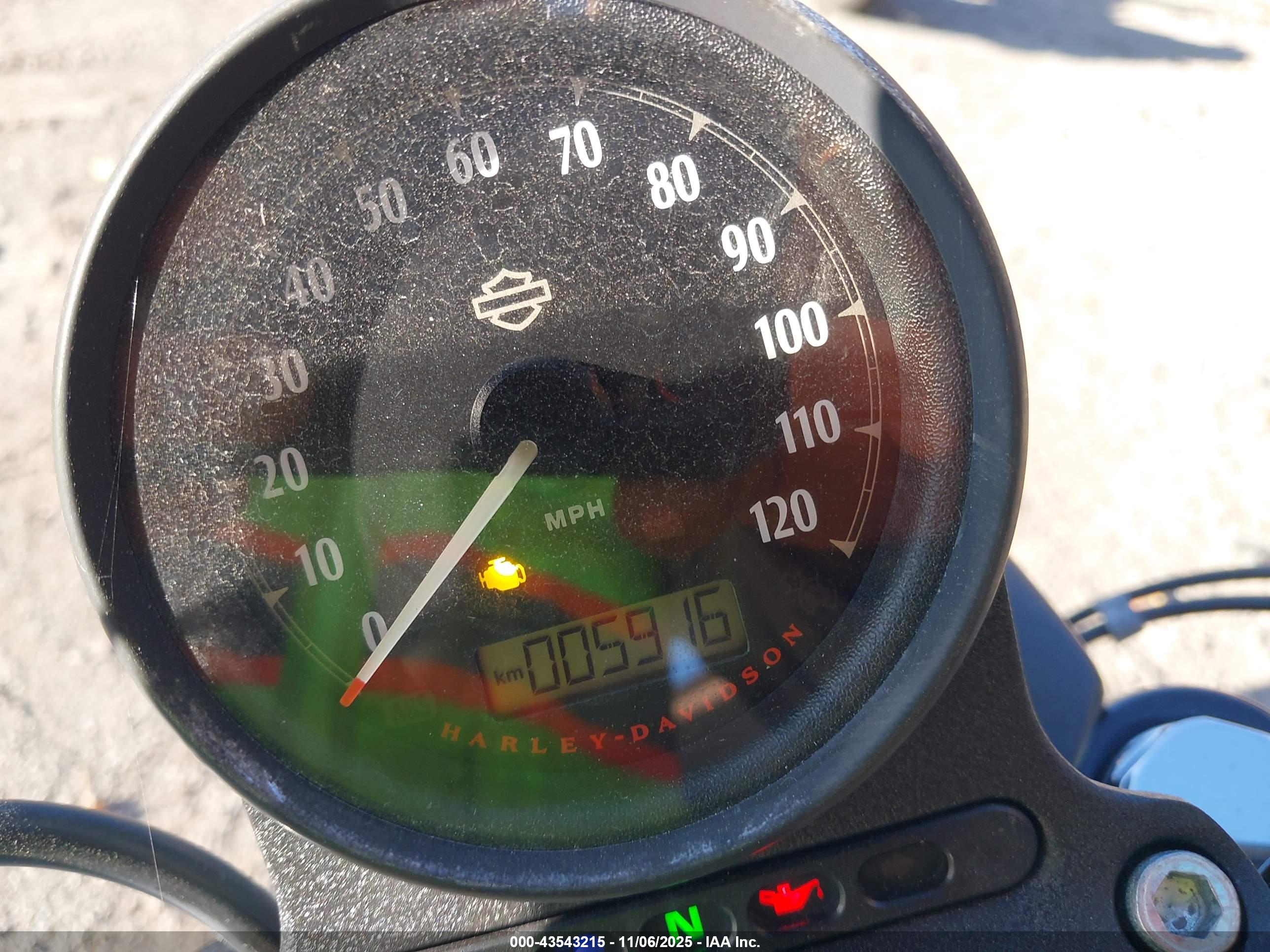HARLEY-DAVIDSON XL883 image 7