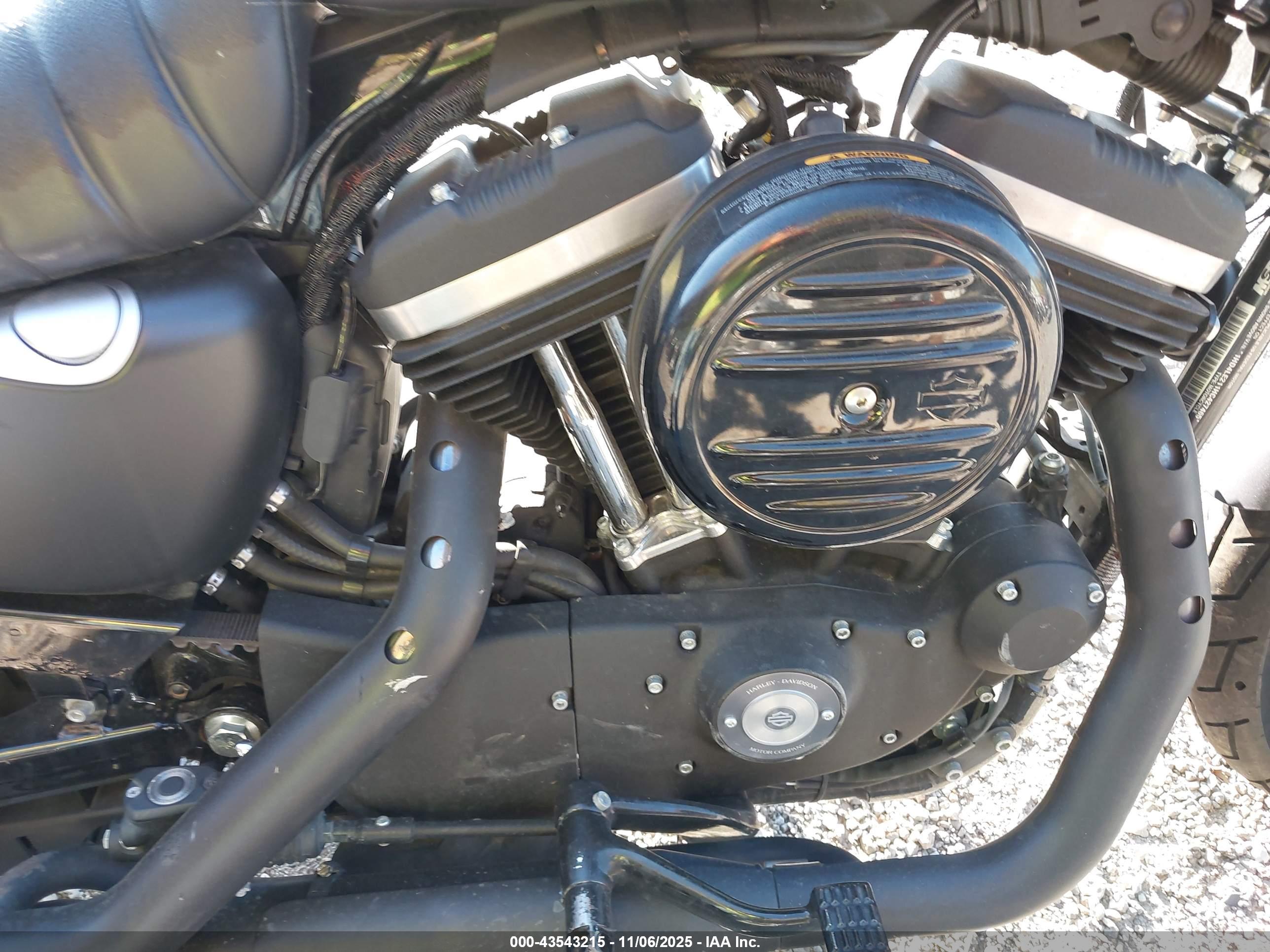 HARLEY-DAVIDSON XL883 image 8