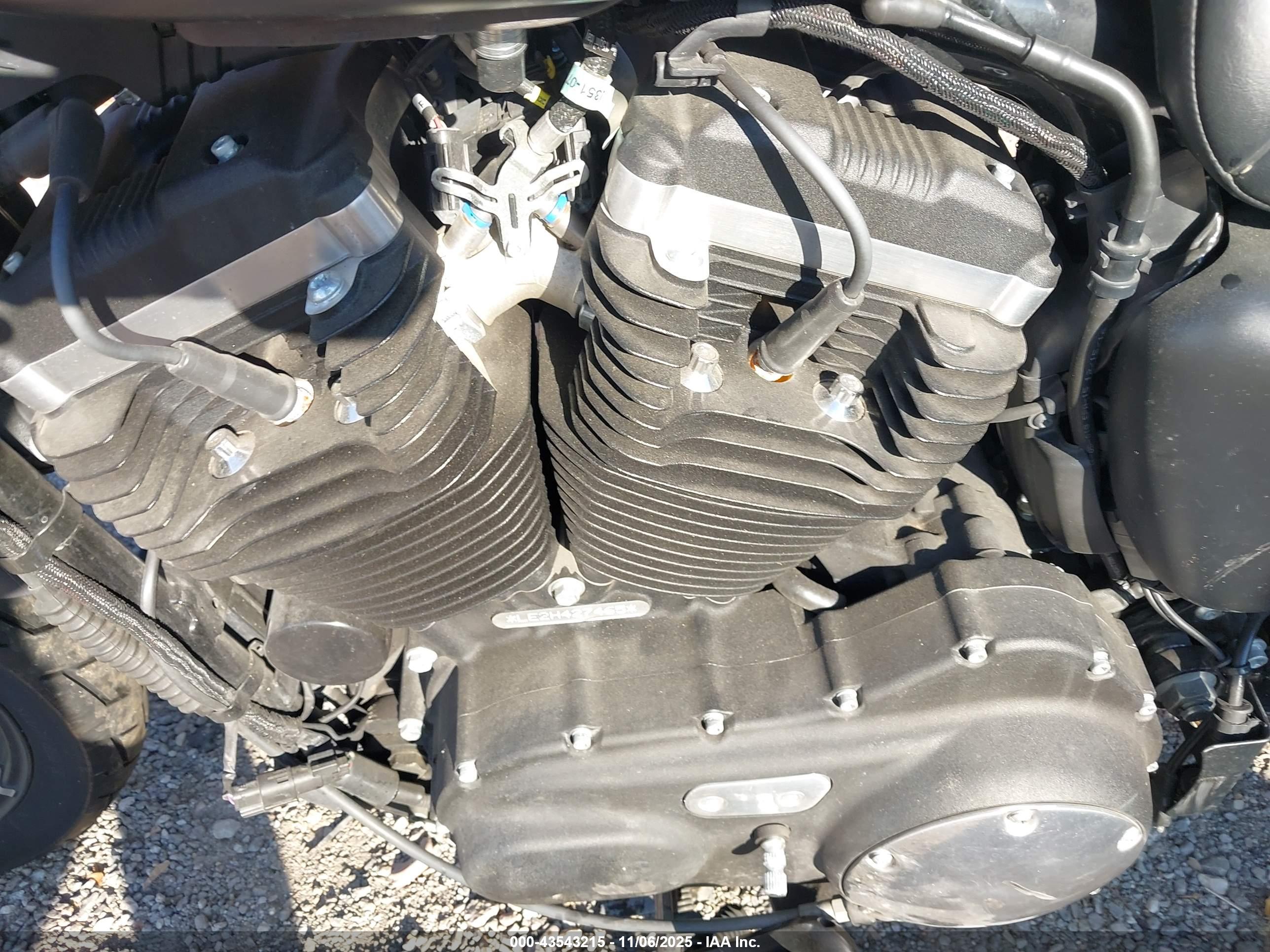 HARLEY-DAVIDSON XL883 image 9
