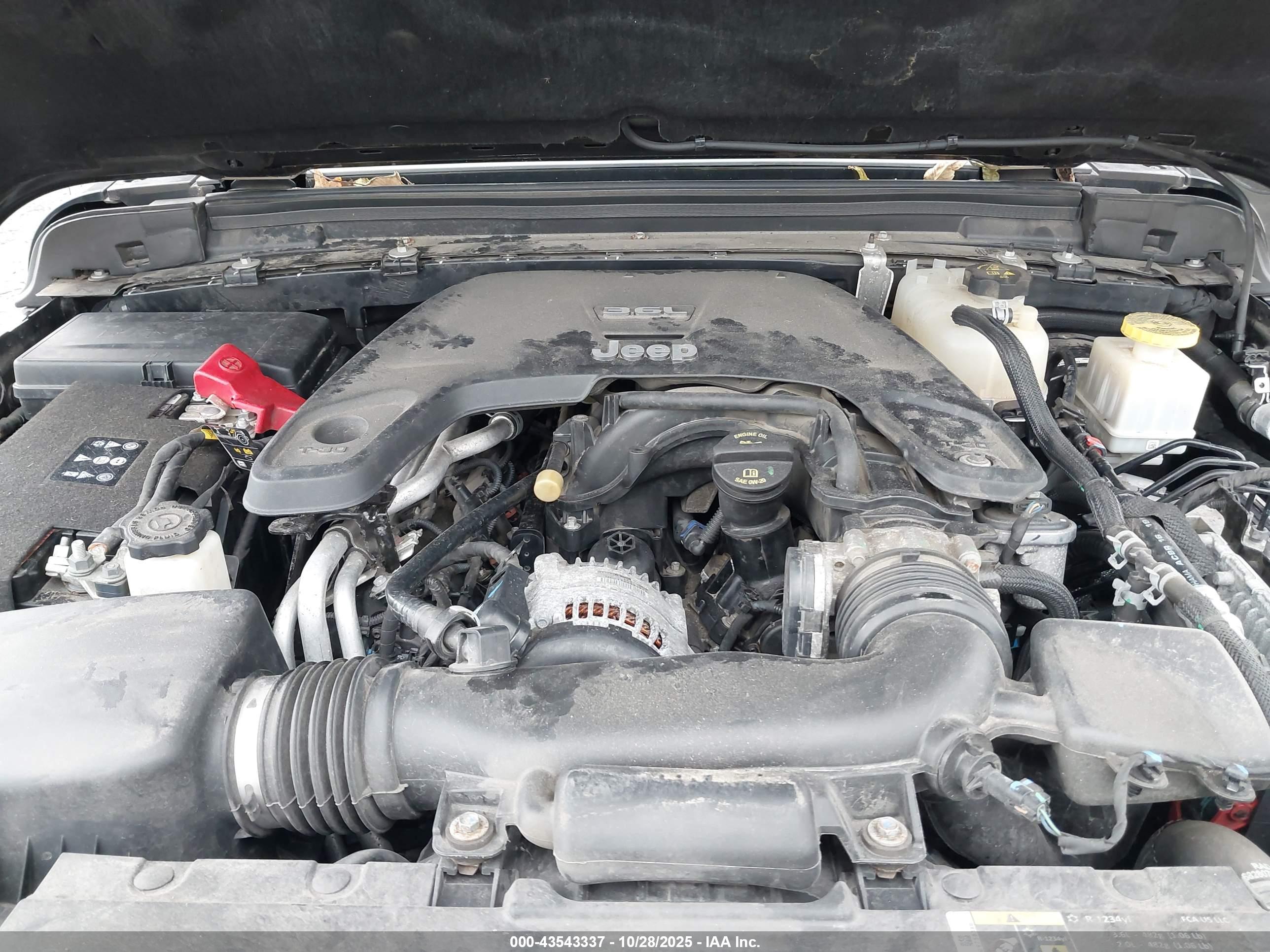 JEEP GLADIATOR image 10