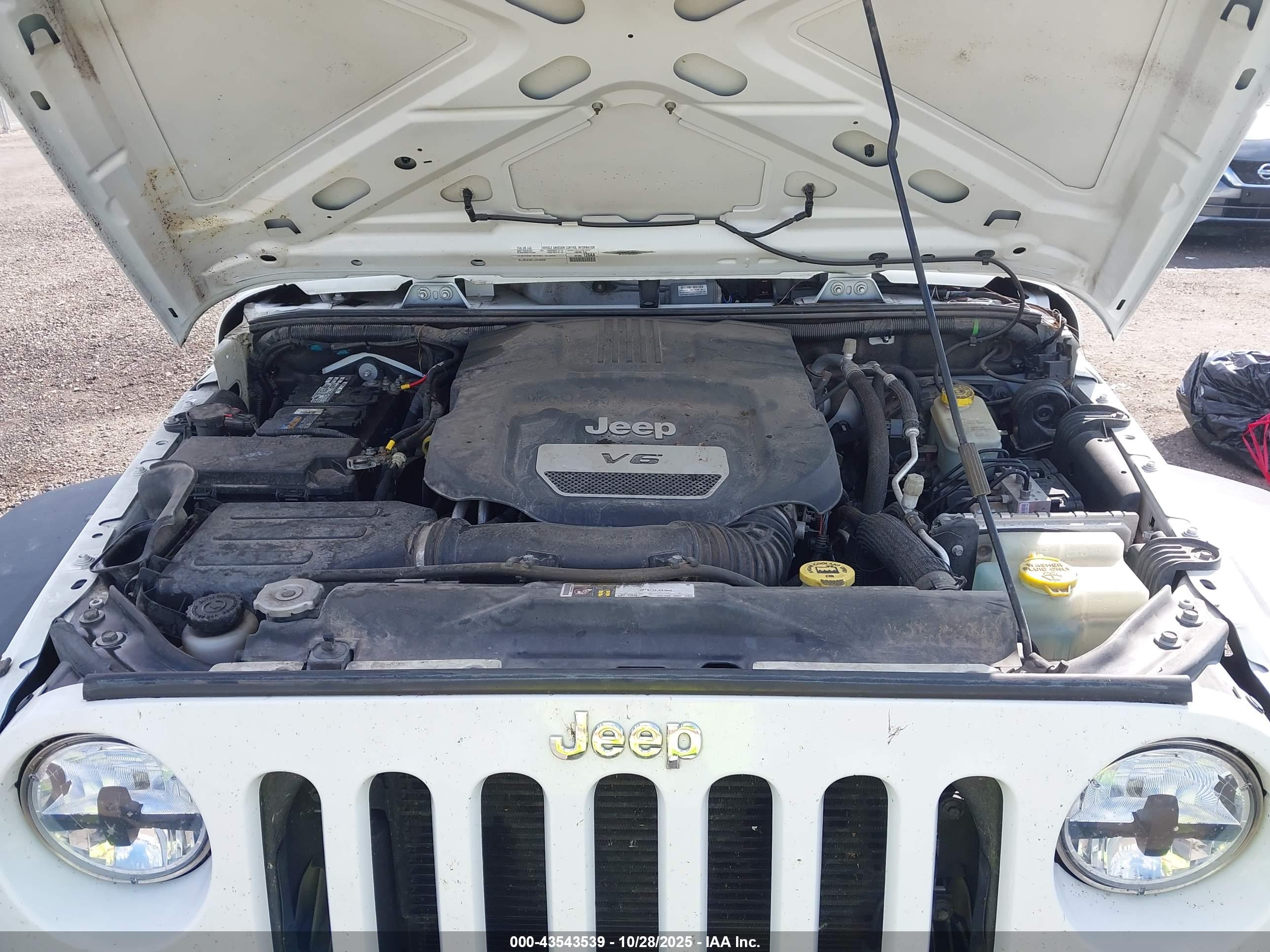 JEEP WRANGLER image 10