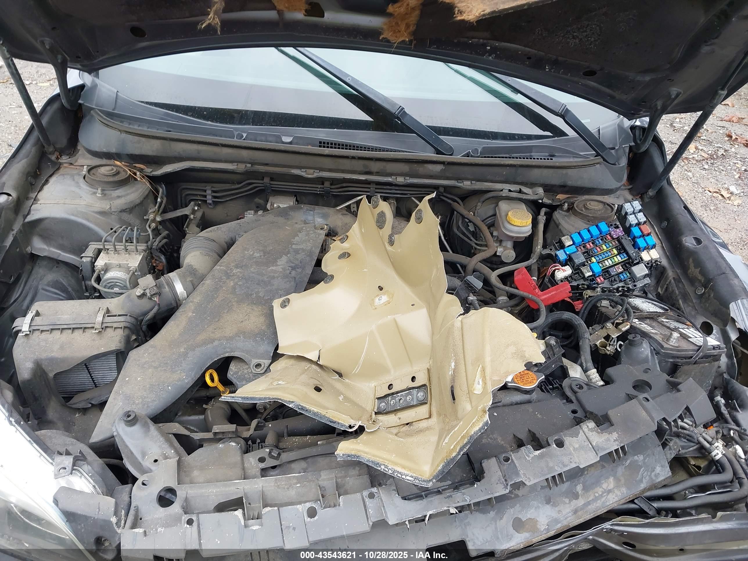 SUBARU OUTBACK image 10