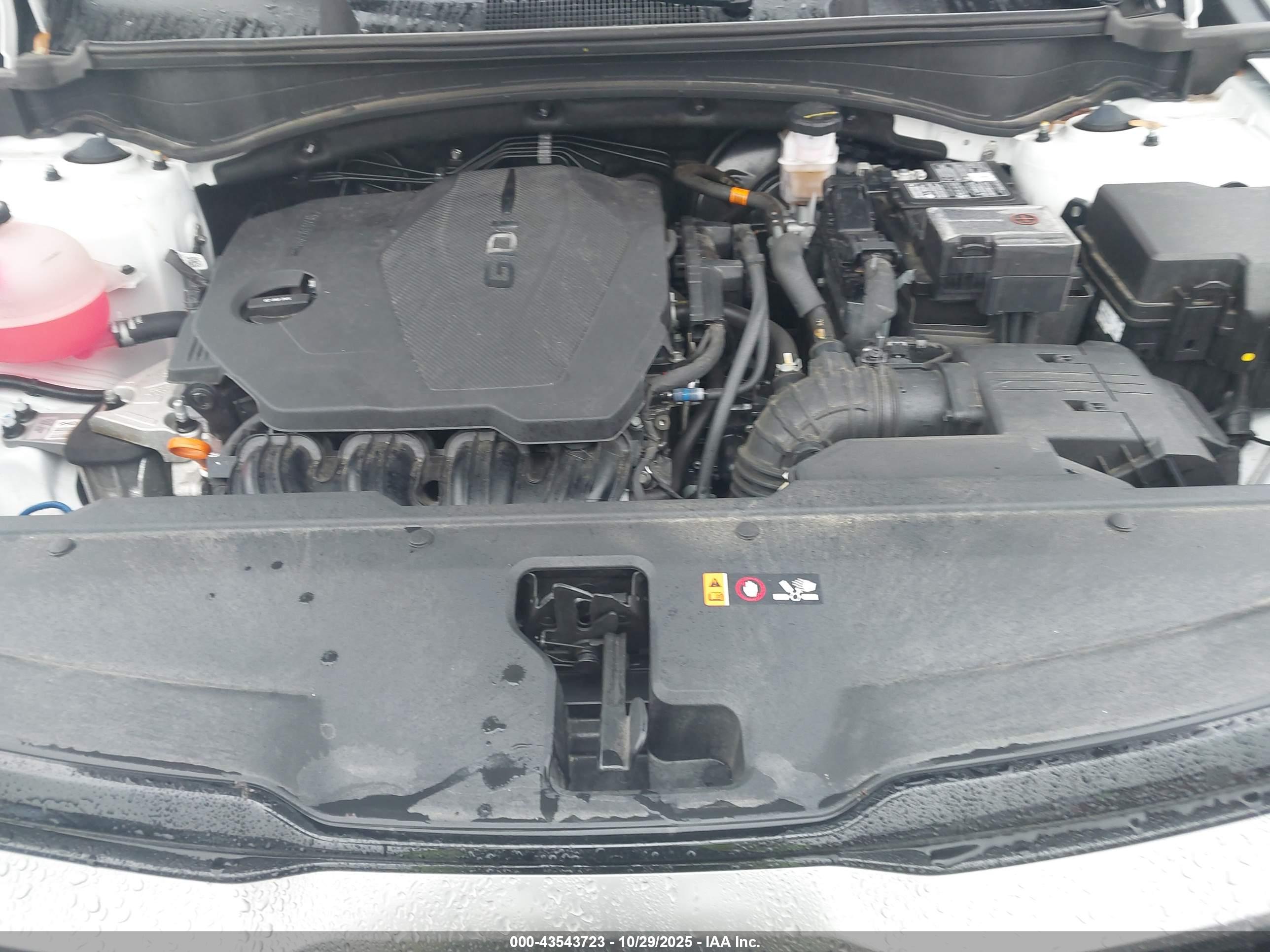 KIA SPORTAGE image 10