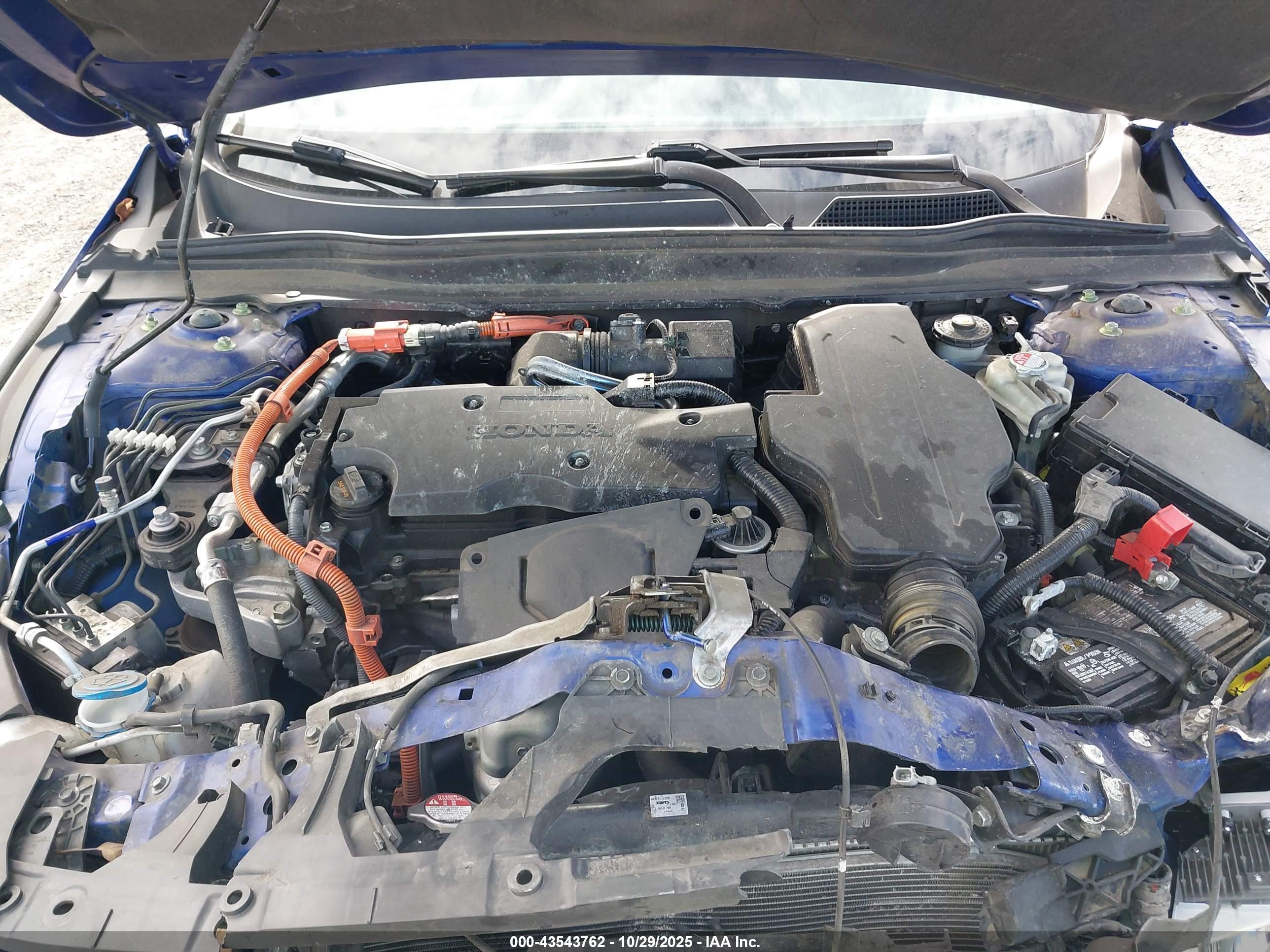HONDA ACCORD image 10