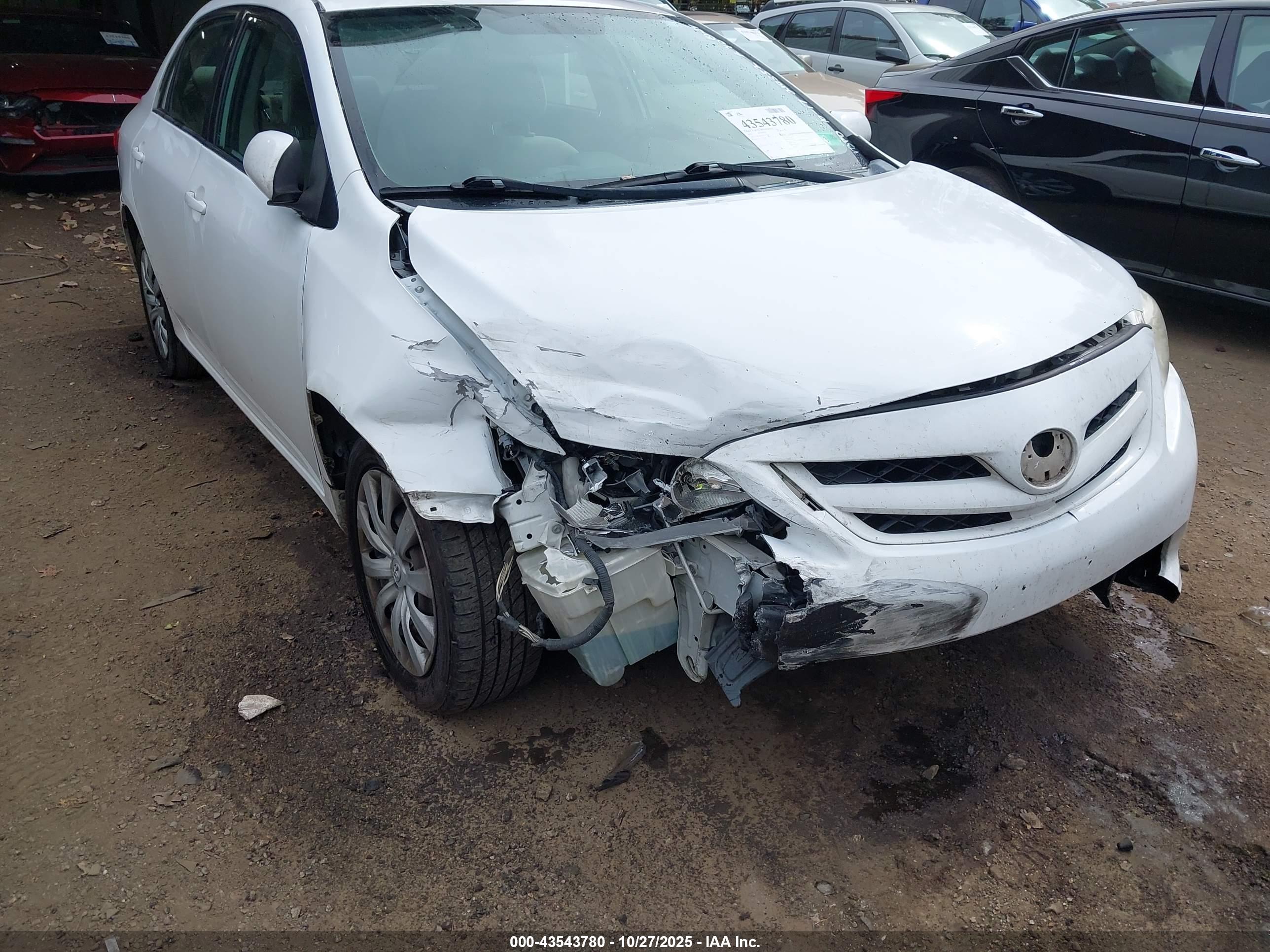 TOYOTA COROLLA image 6