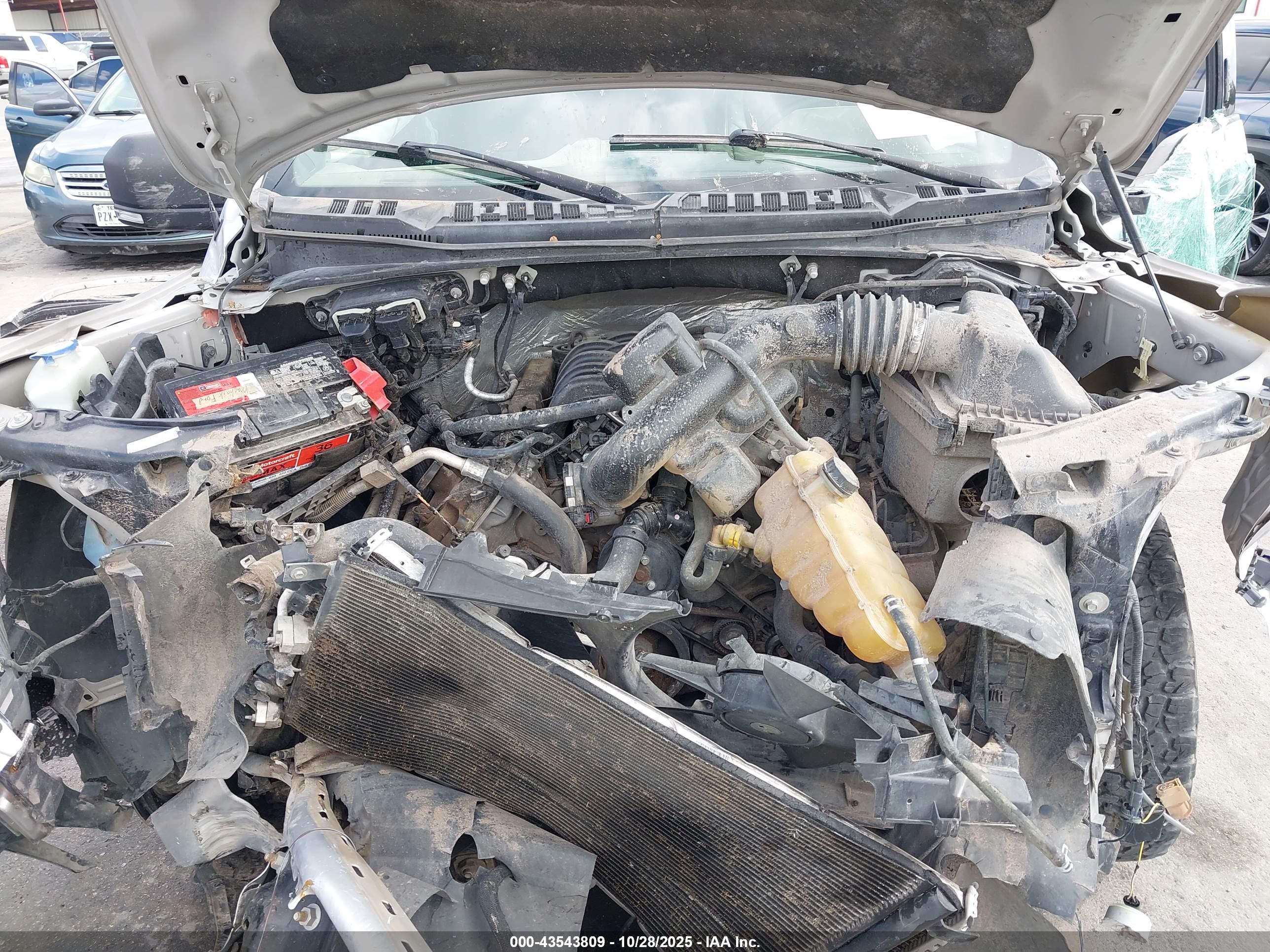 FORD F-150 image 10