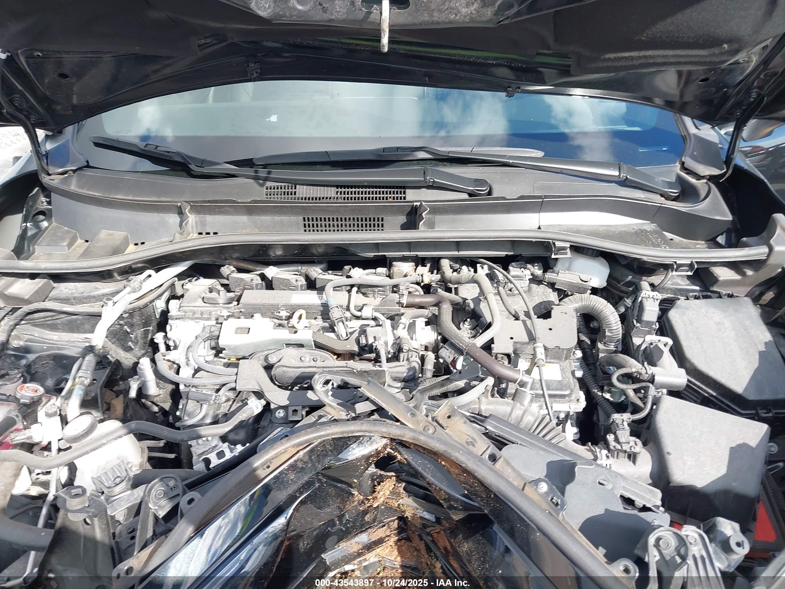 TOYOTA COROLLA image 10