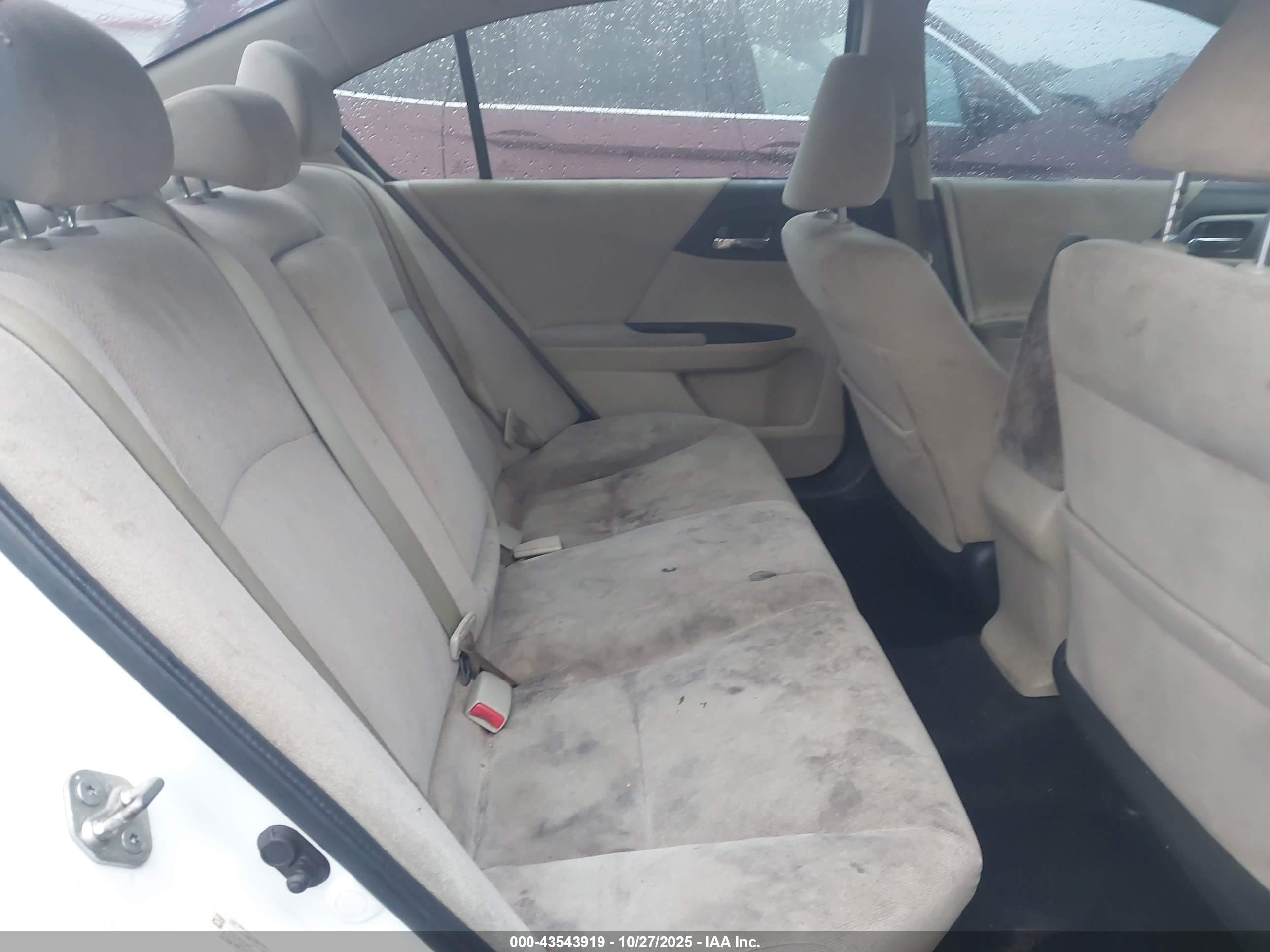 HONDA ACCORD image 8