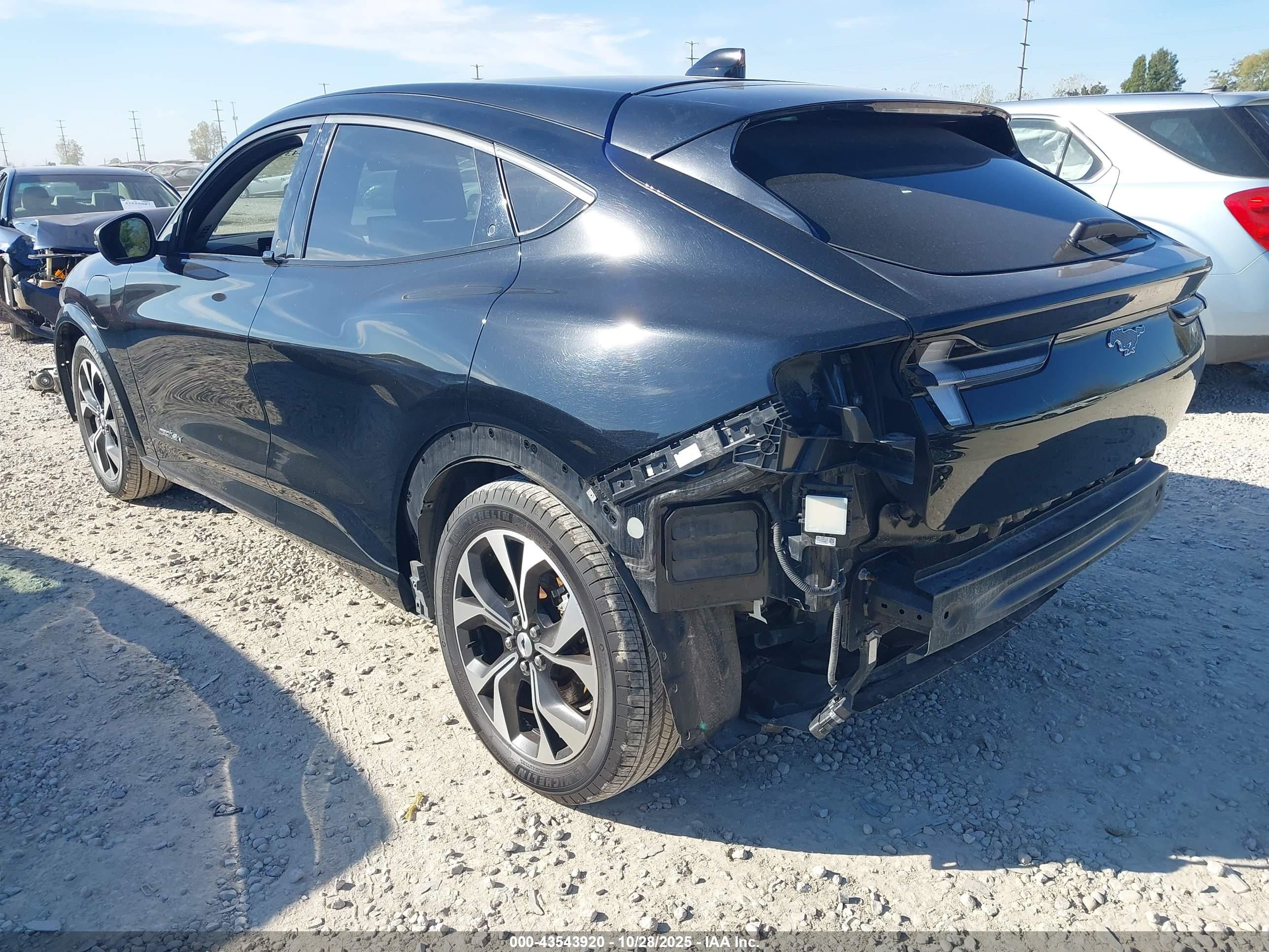 FORD MUSTANG image 3