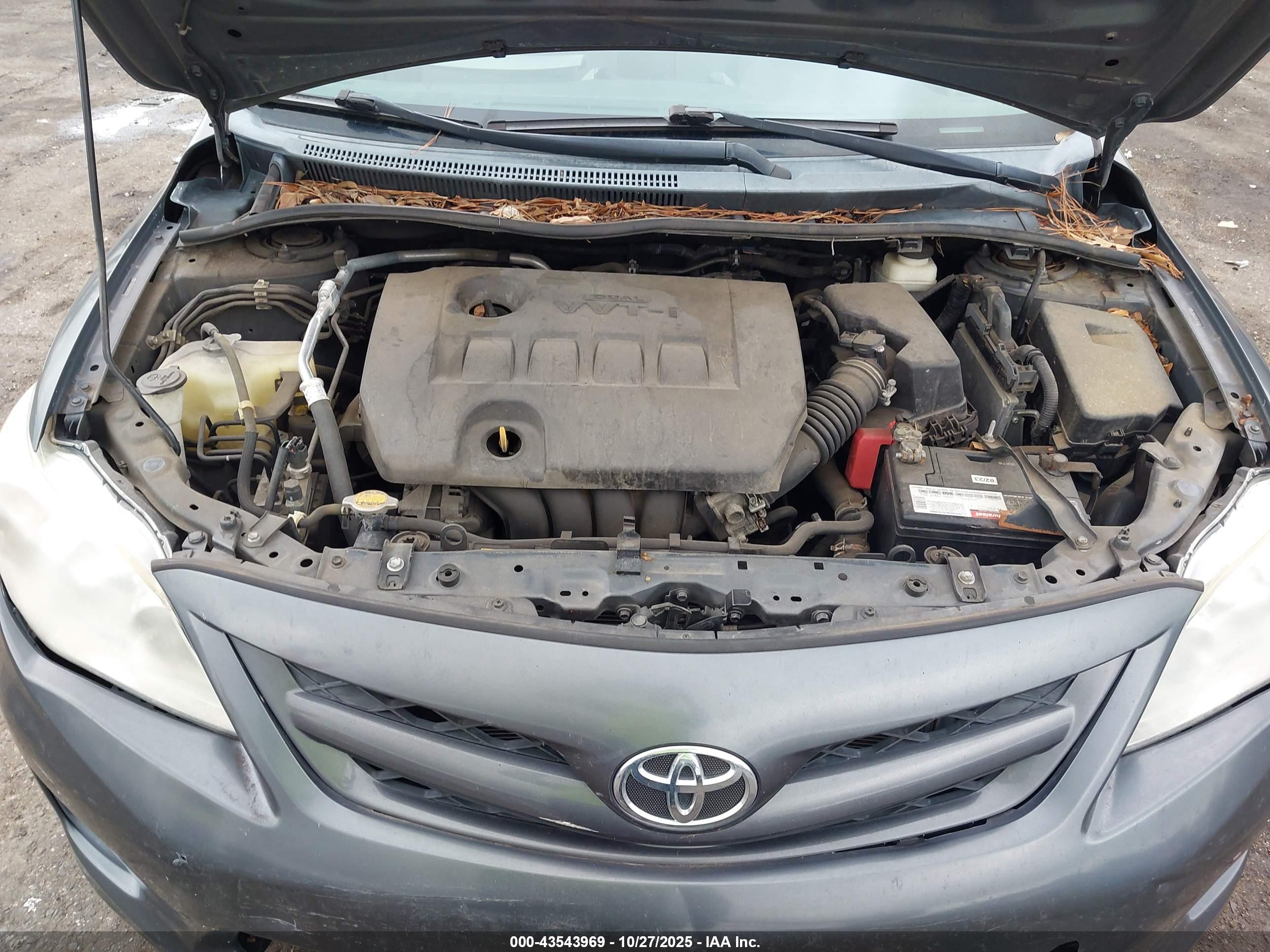 TOYOTA COROLLA image 10