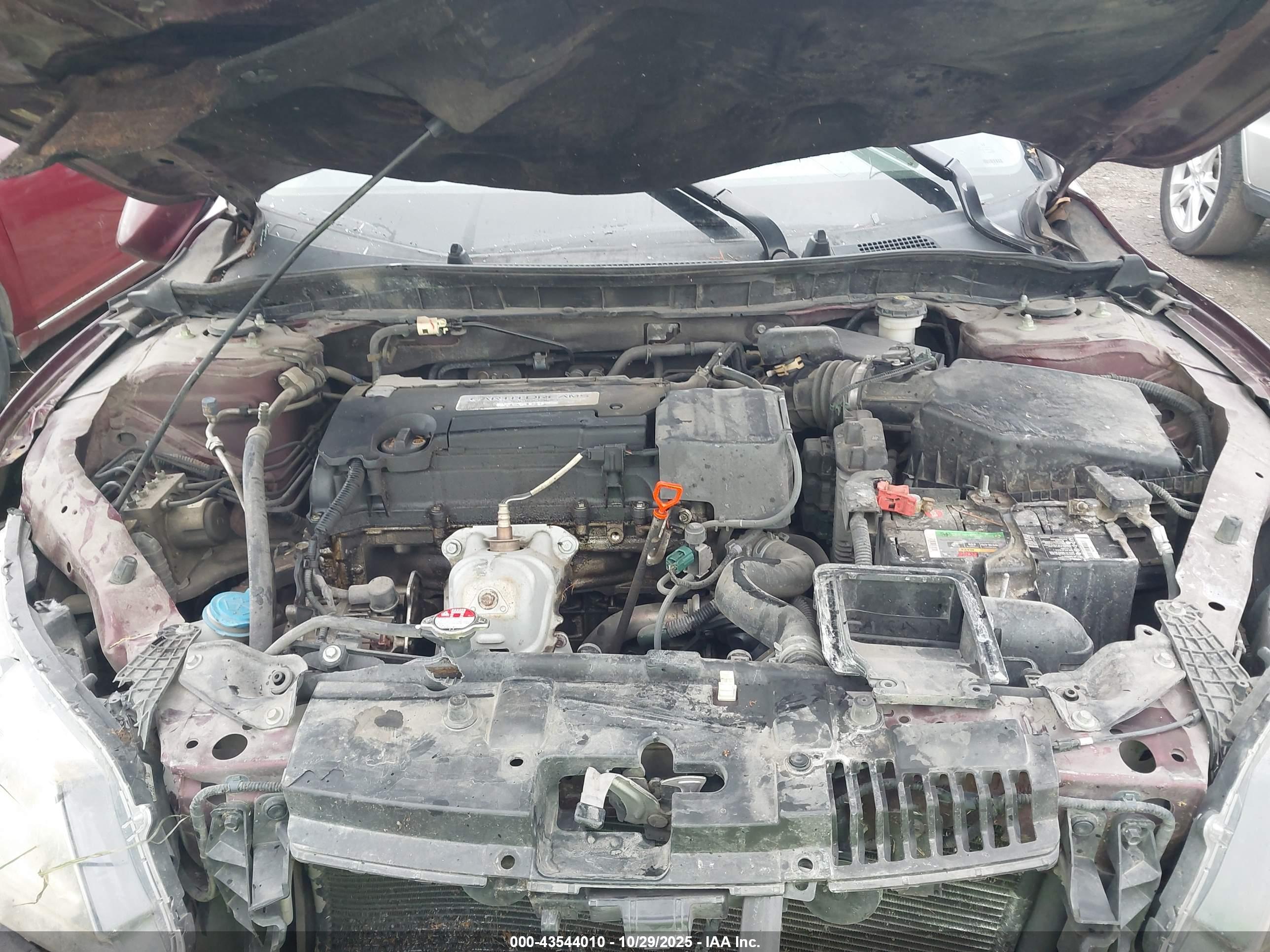 HONDA ACCORD image 10