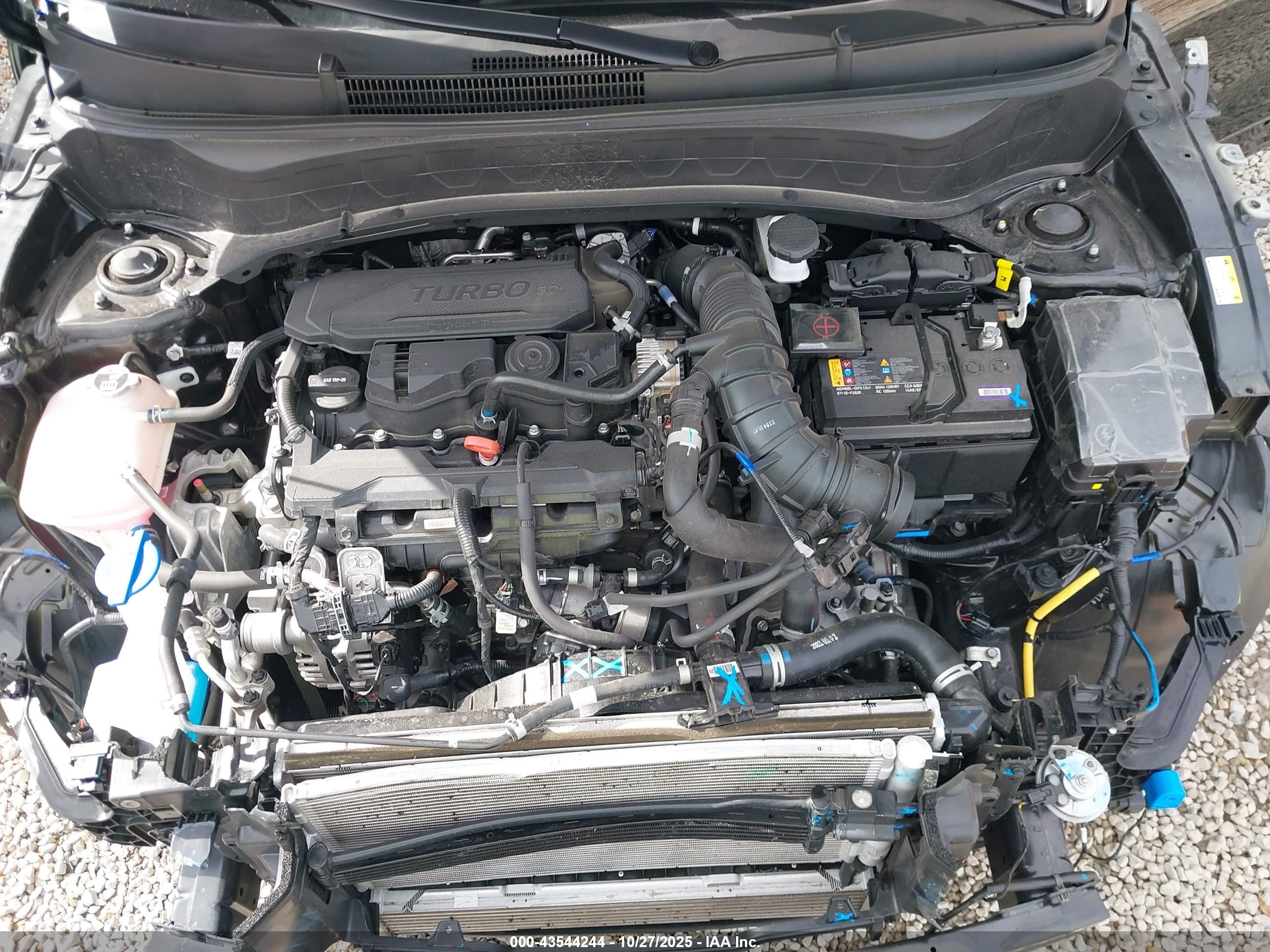 KIA SELTOS image 10