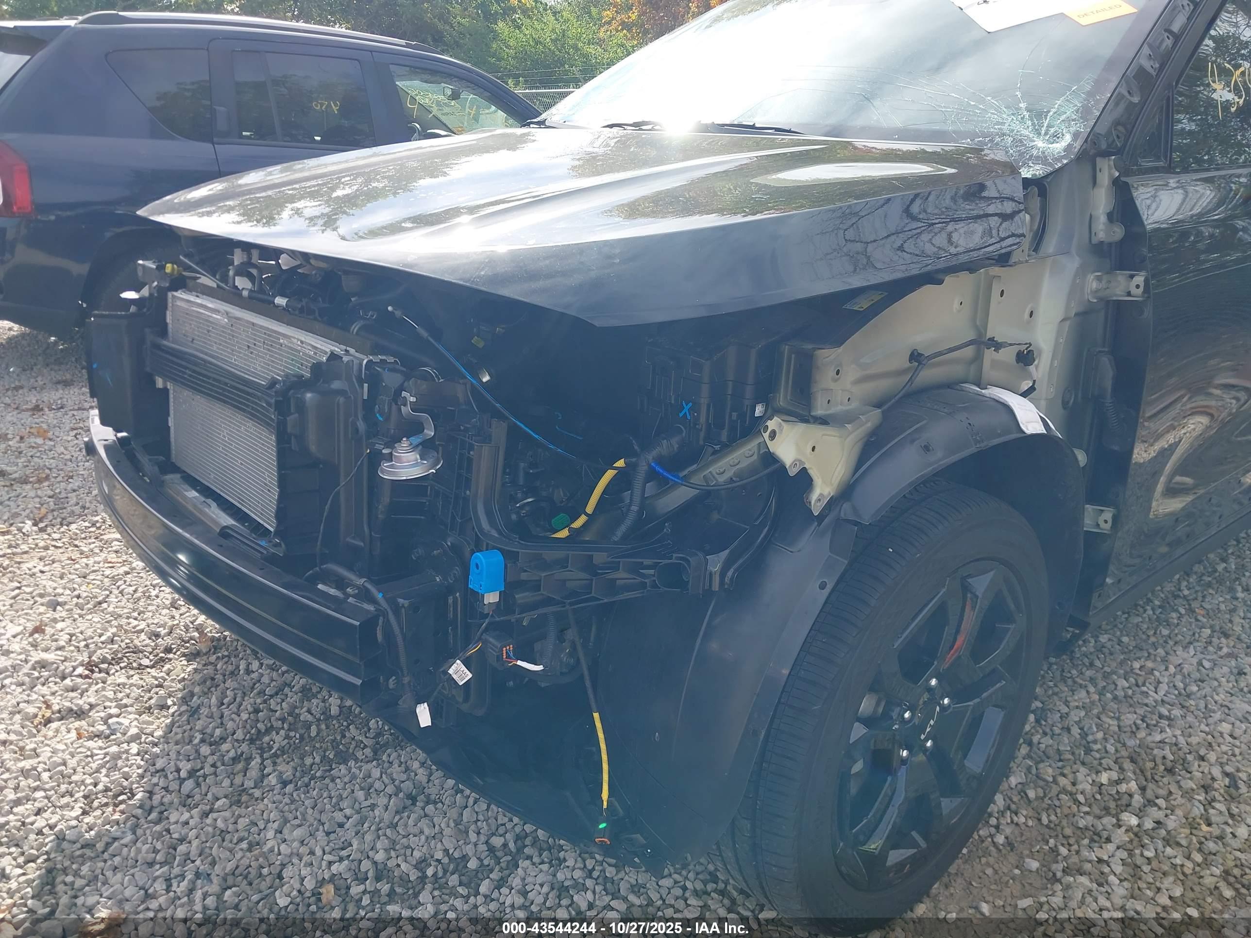 KIA SELTOS image 6