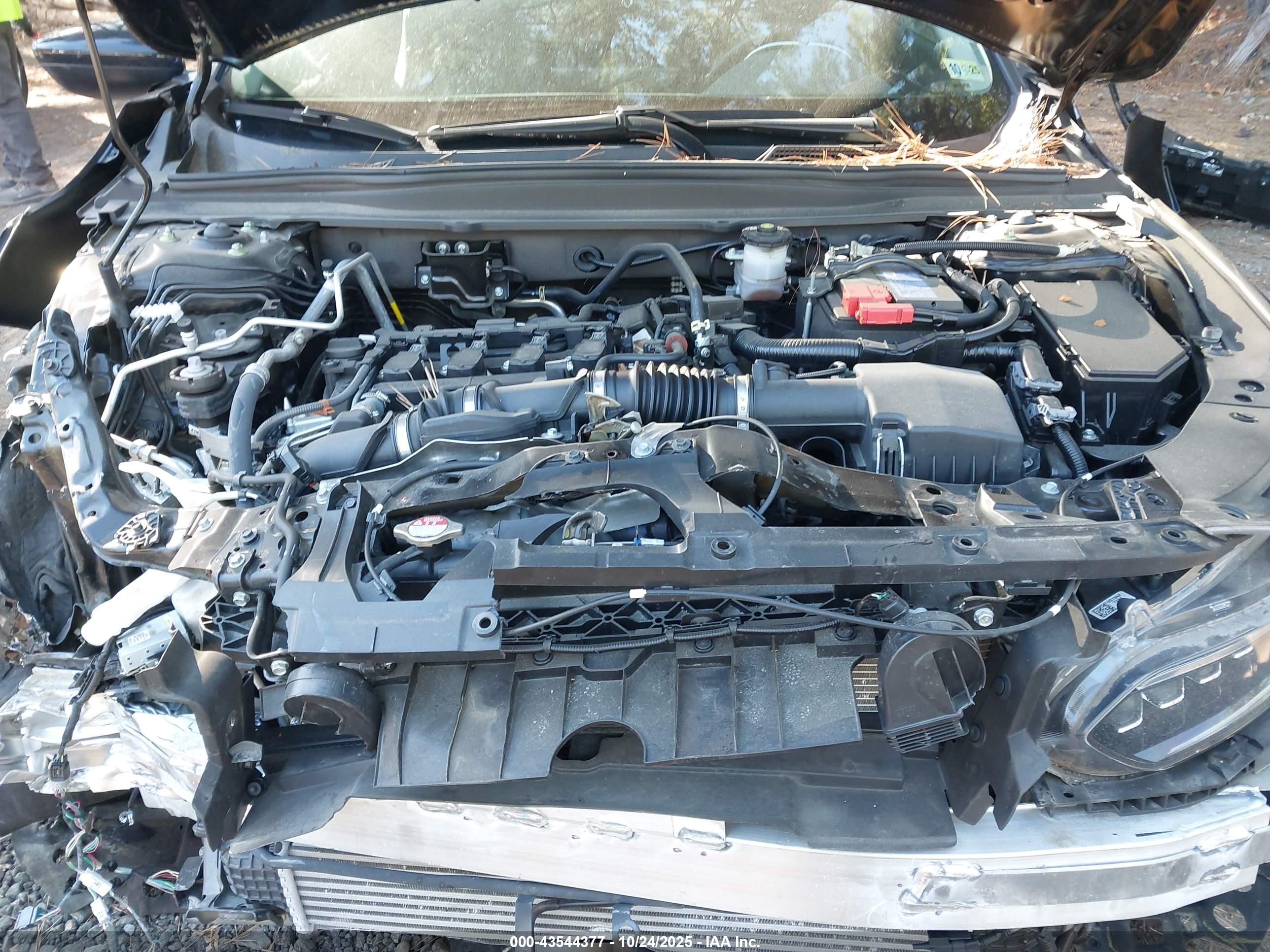 HONDA ACCORD image 10