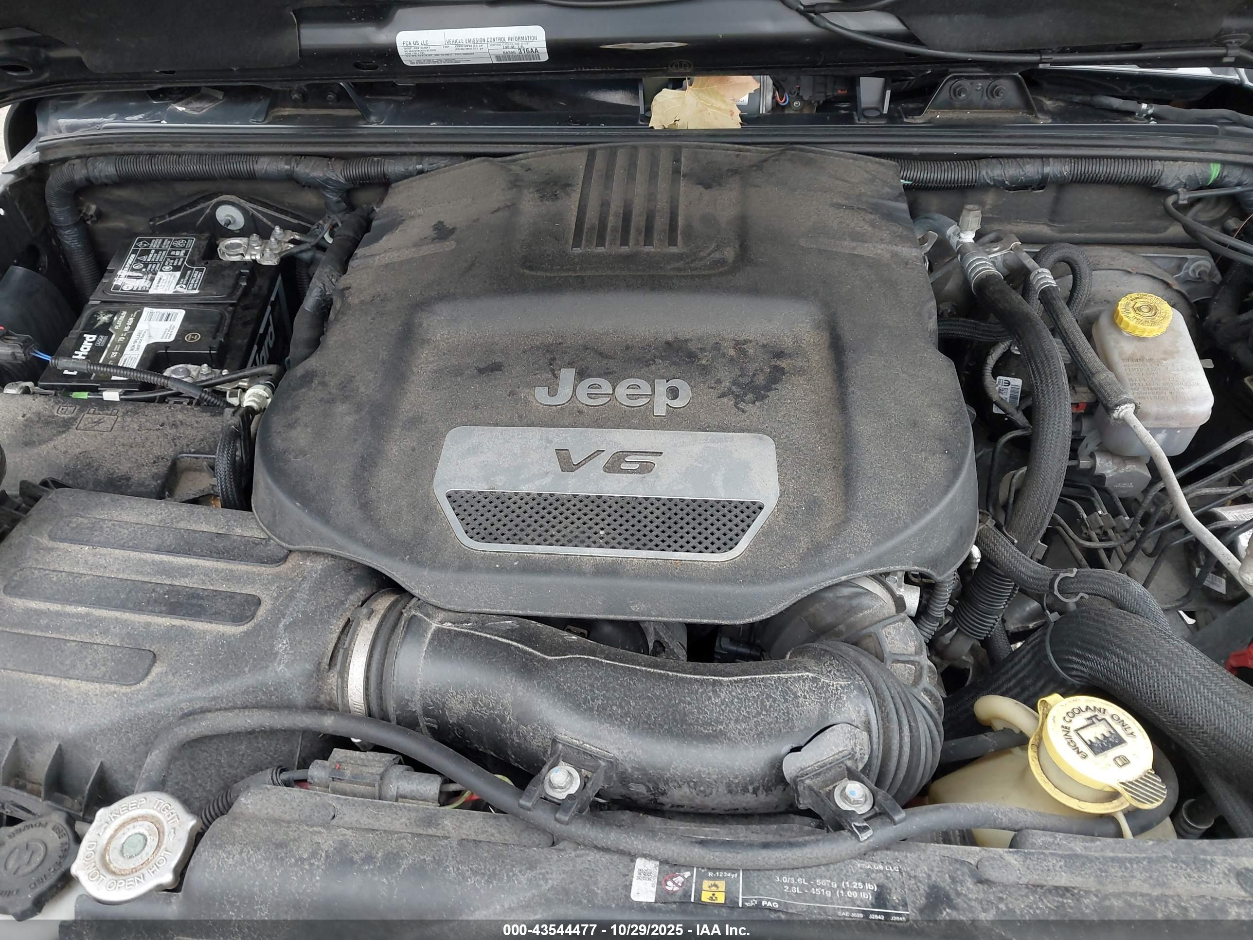 JEEP WRANGLER image 10