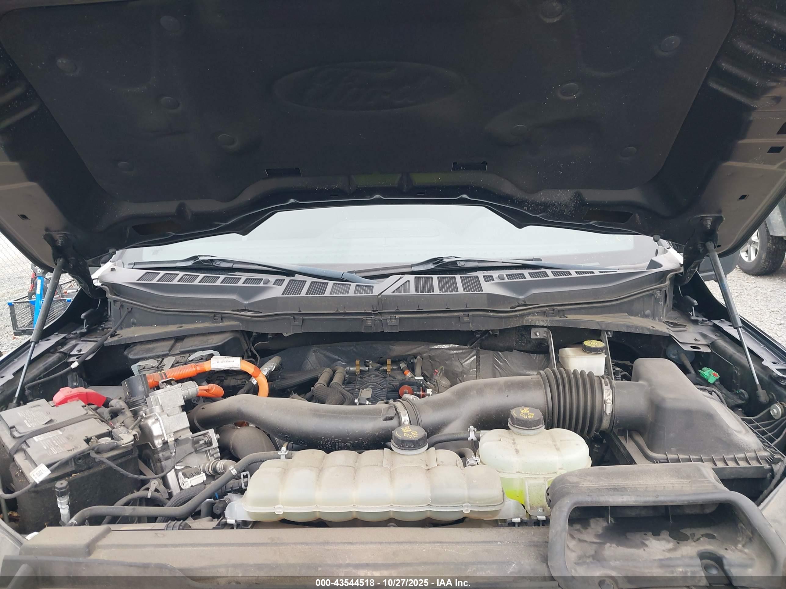 FORD F-150 image 10