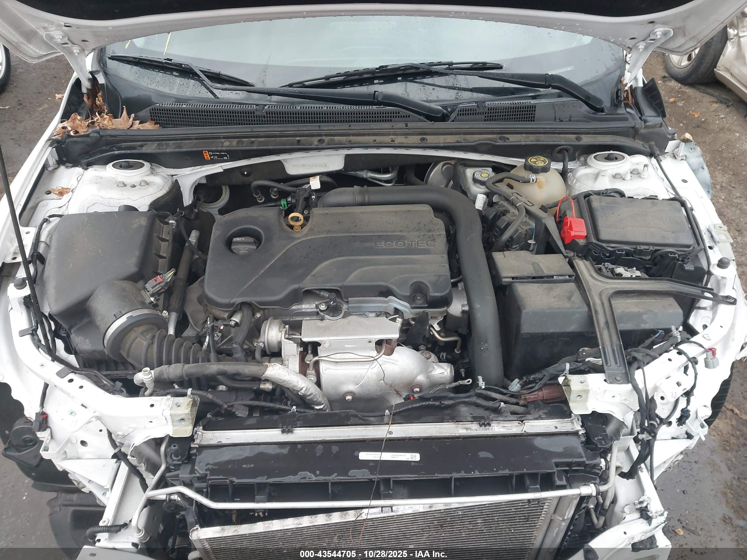 CHEVROLET MALIBU image 10