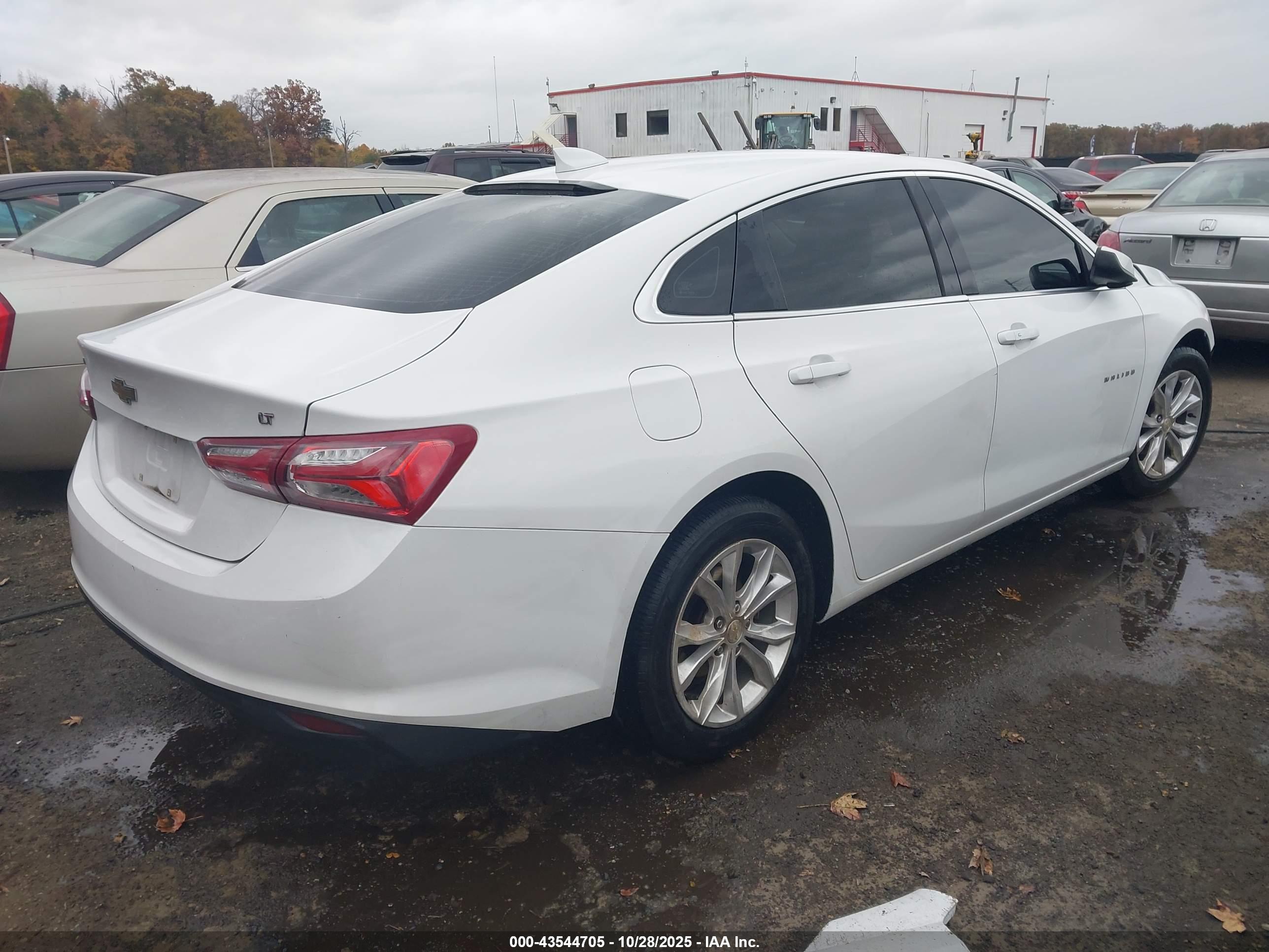 CHEVROLET MALIBU image 4
