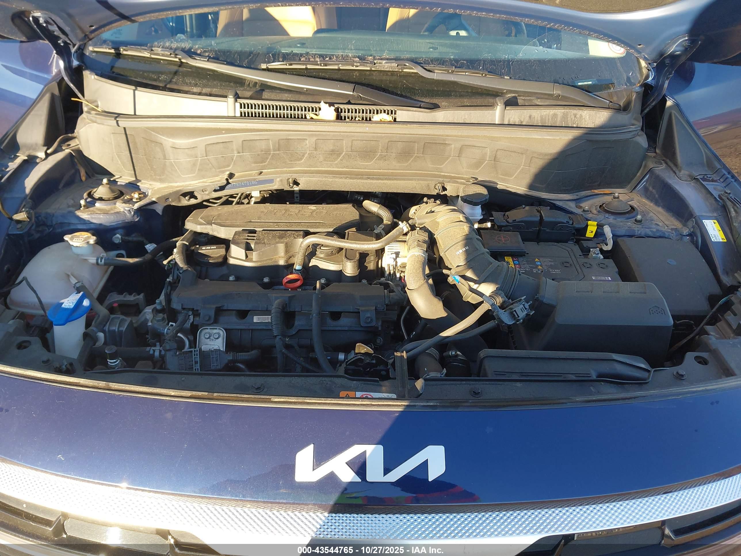 KIA SELTOS image 10