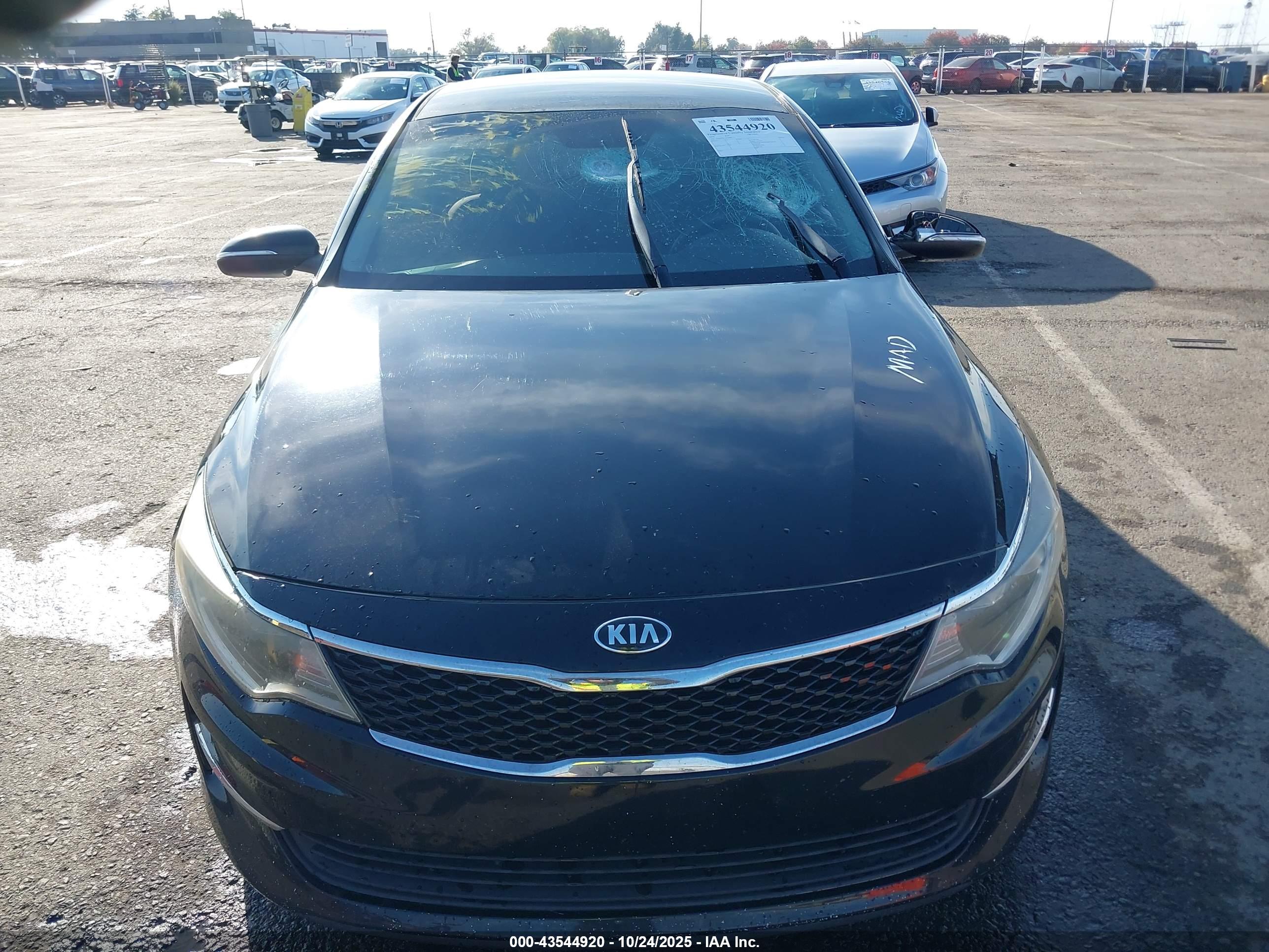 KIA OPTIMA image 6