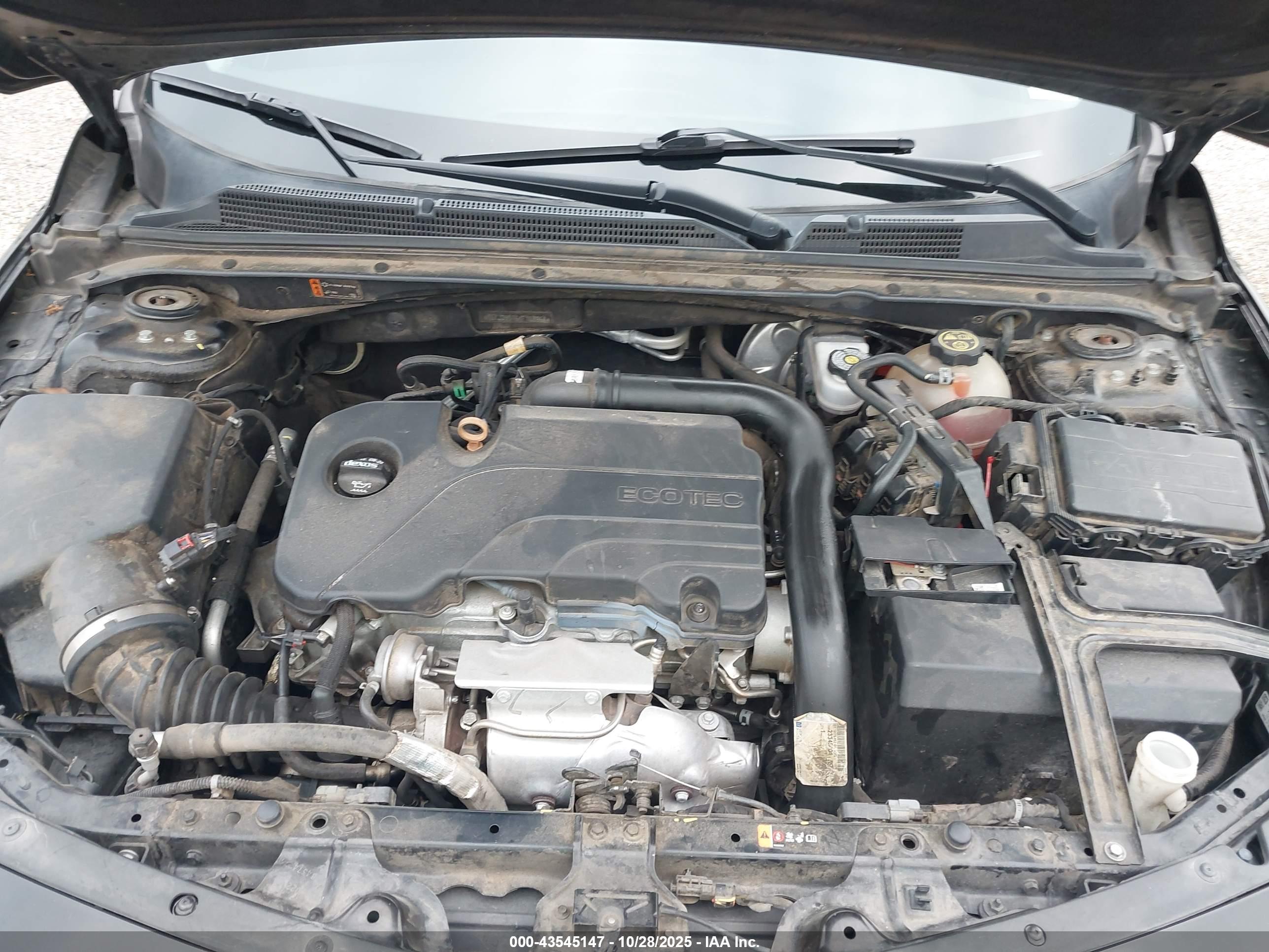 CHEVROLET MALIBU image 10