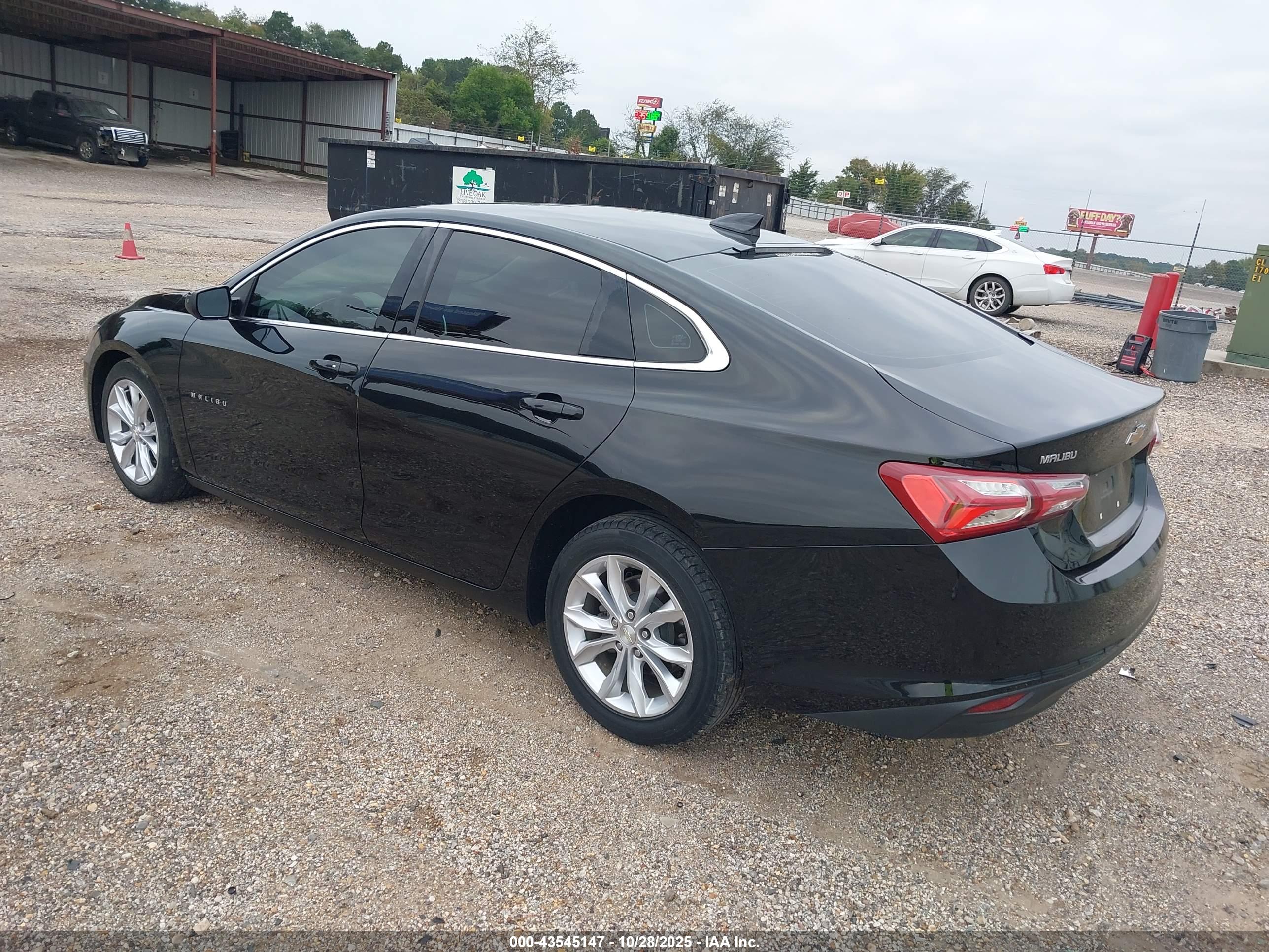CHEVROLET MALIBU image 3