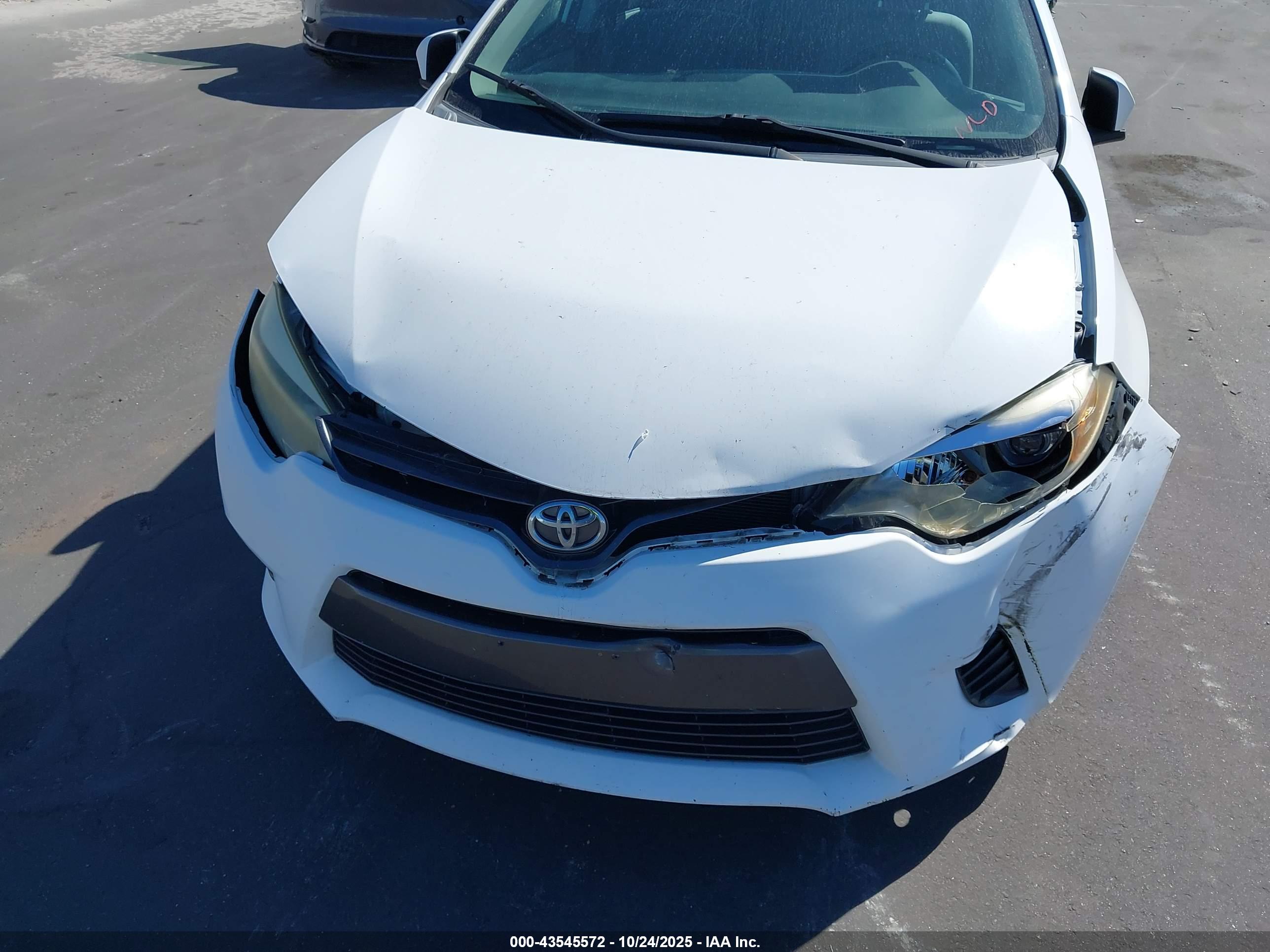 TOYOTA COROLLA image 6