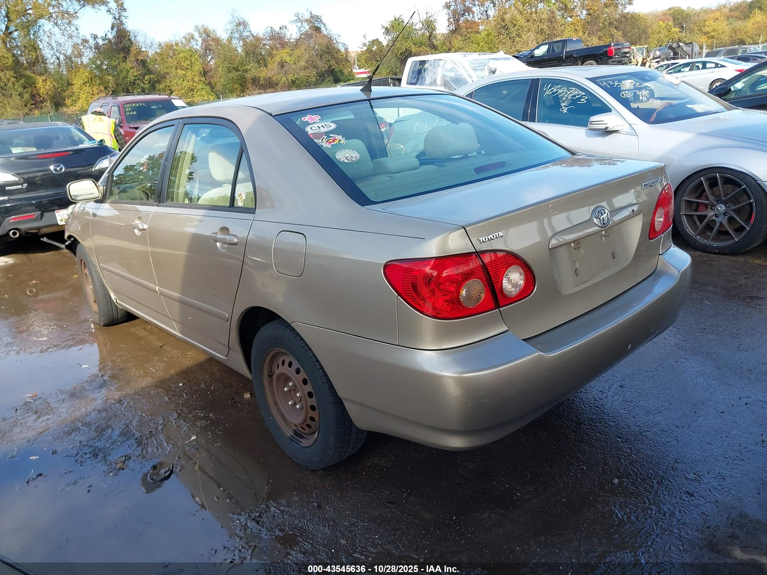 TOYOTA COROLLA image 3