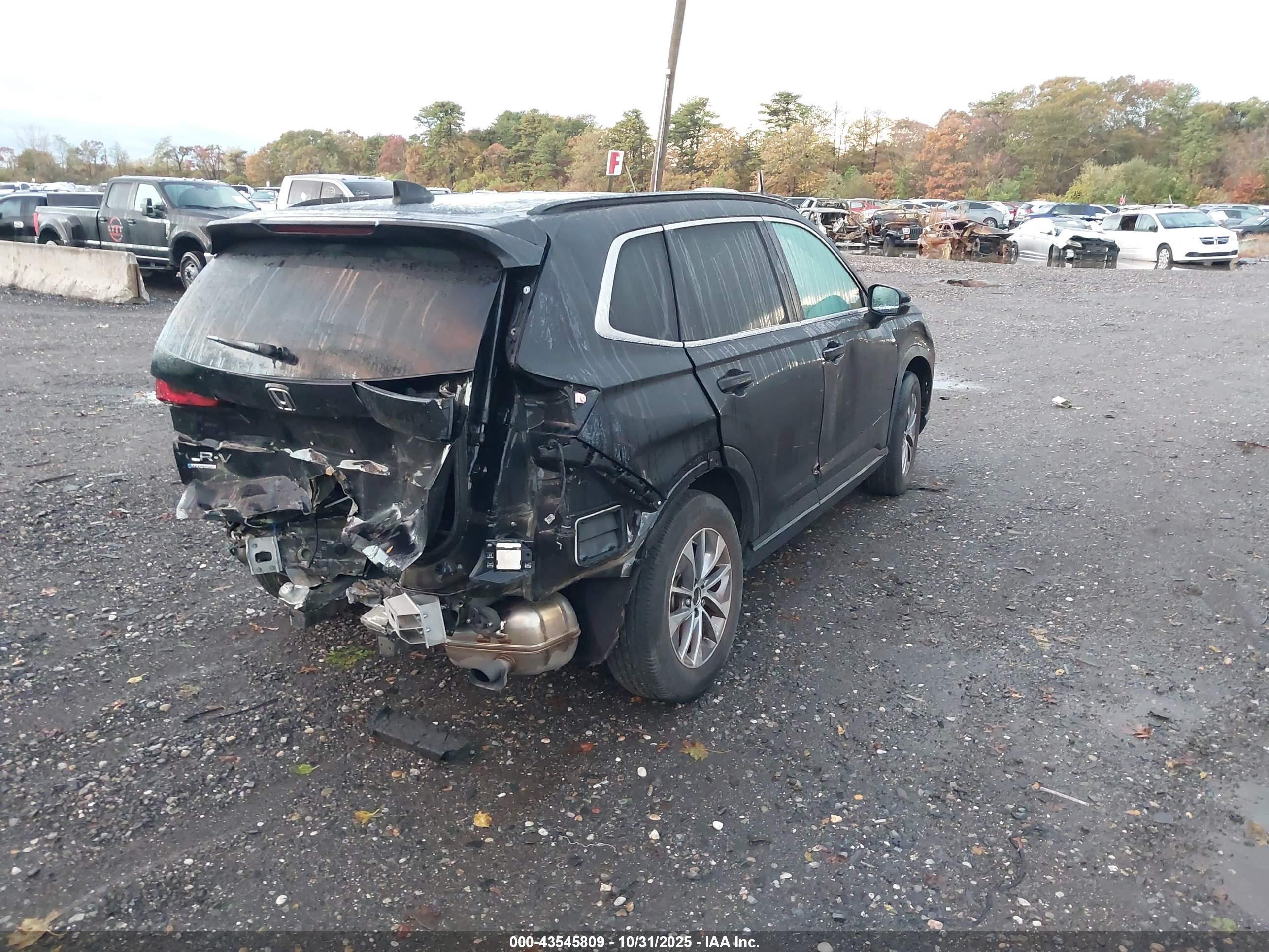 HONDA CR-V image 4