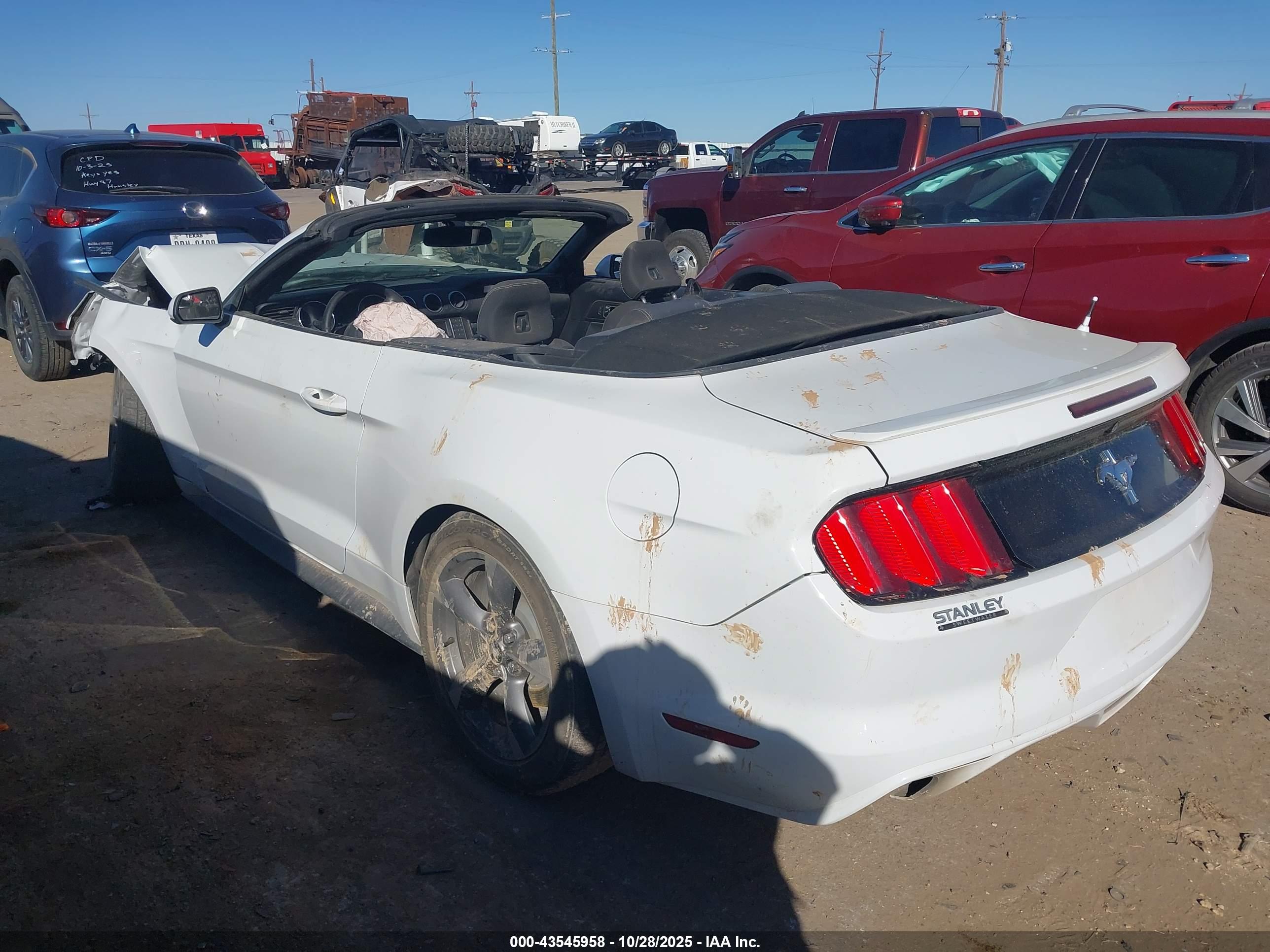 FORD MUSTANG image 3