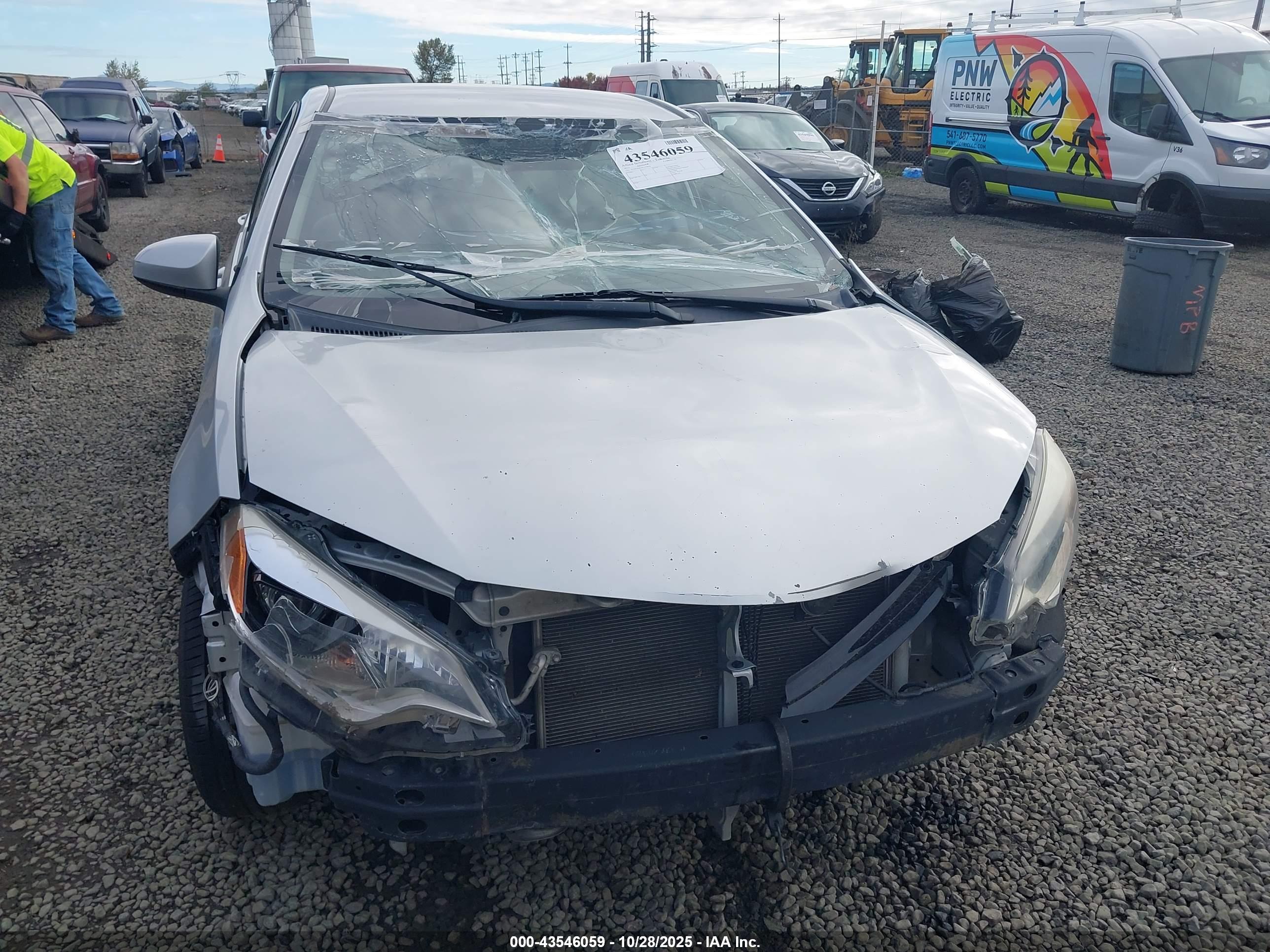 TOYOTA COROLLA image 6