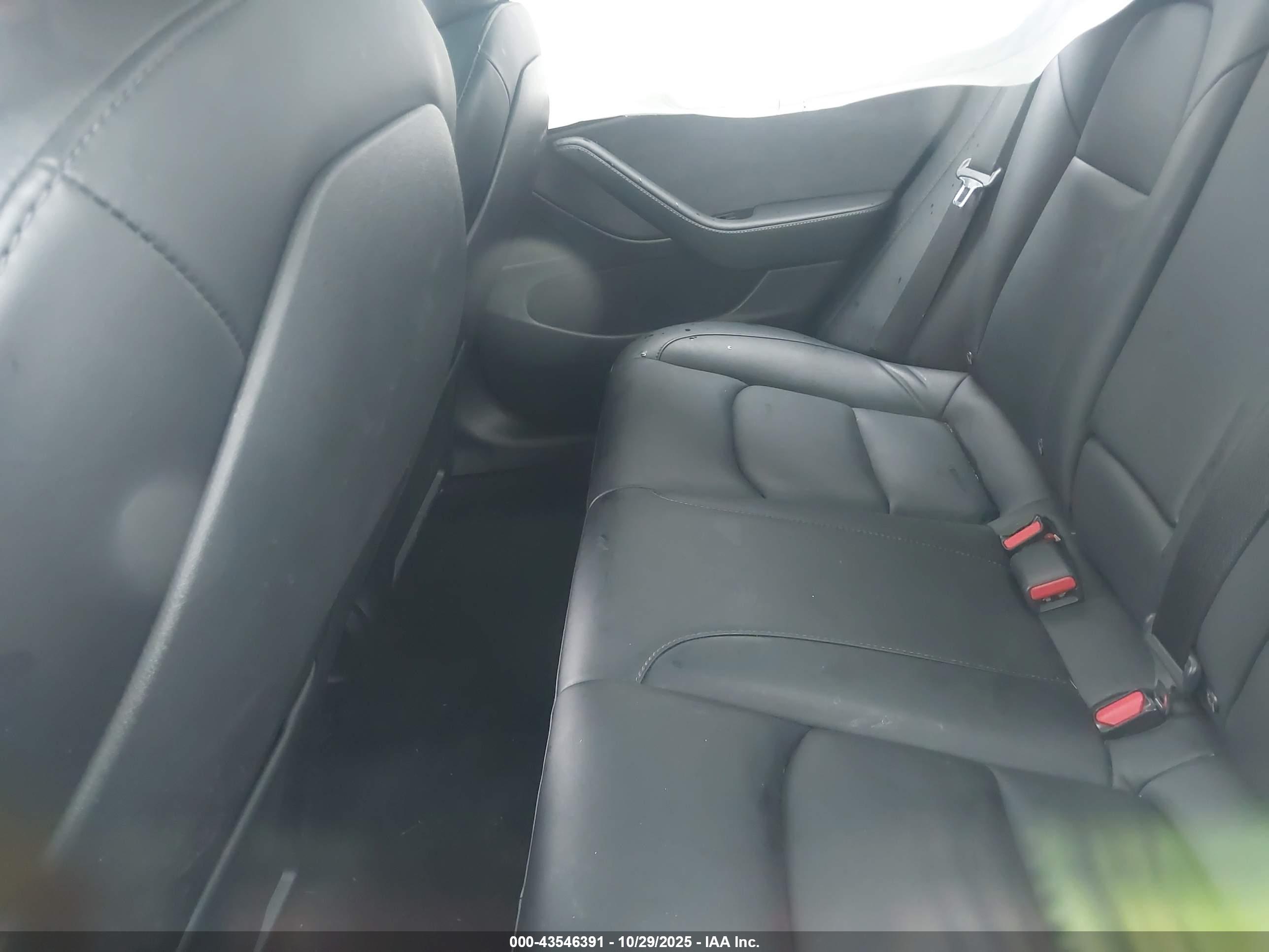 TESLA MODEL image 8