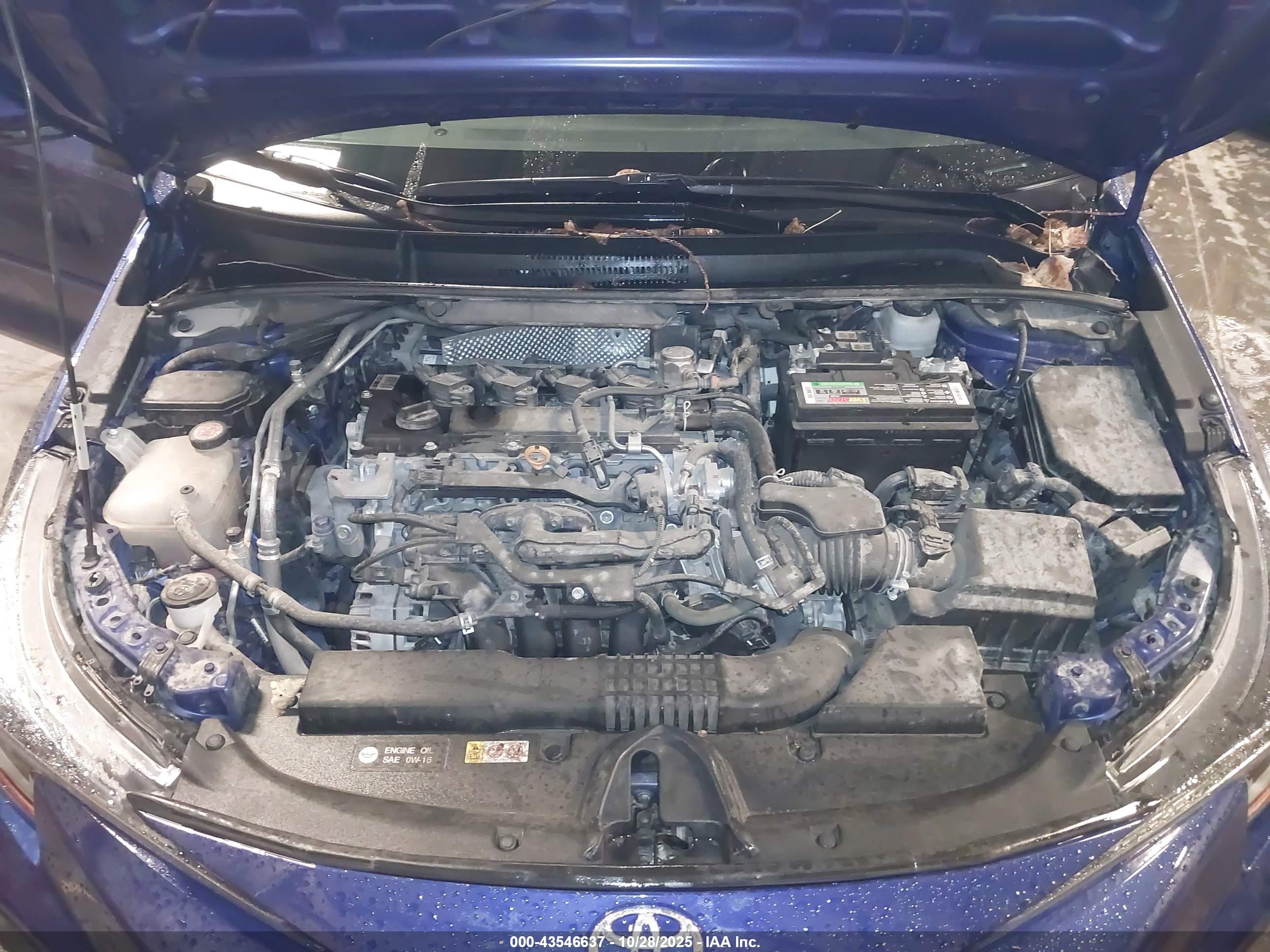 TOYOTA COROLLA image 10