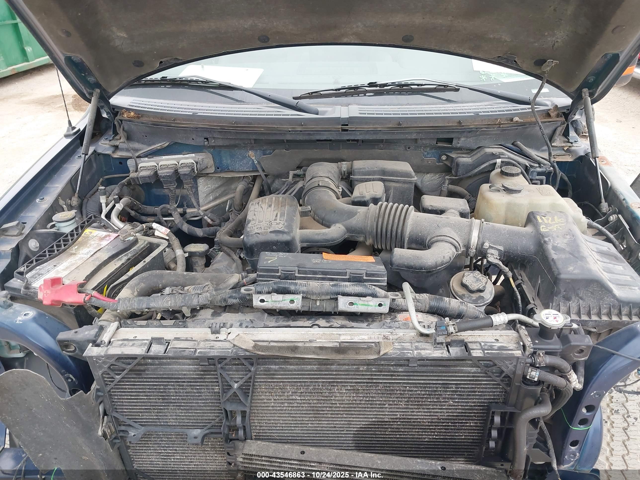 FORD F-150 image 10