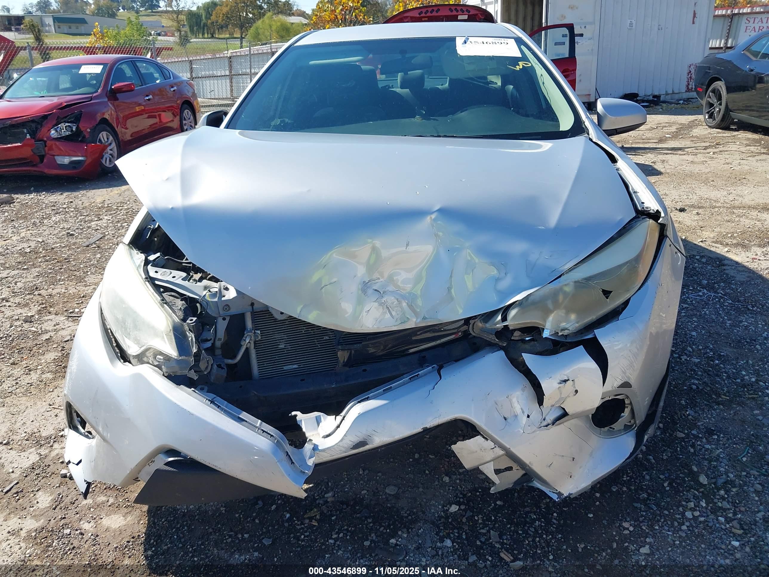 TOYOTA COROLLA image 6